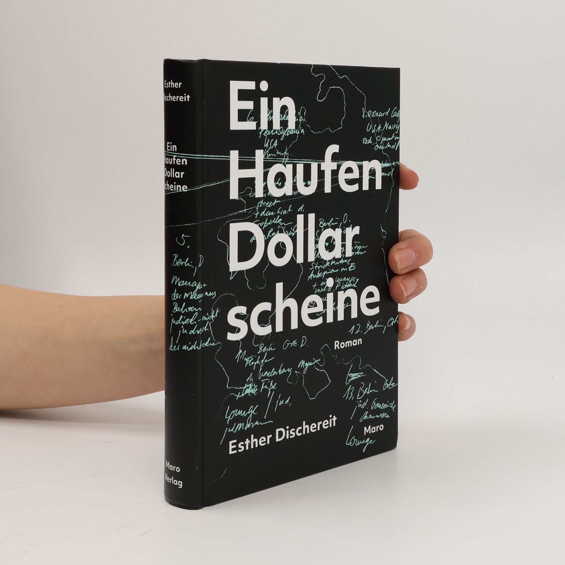 Ein Haufen Dollarscheine. Roman