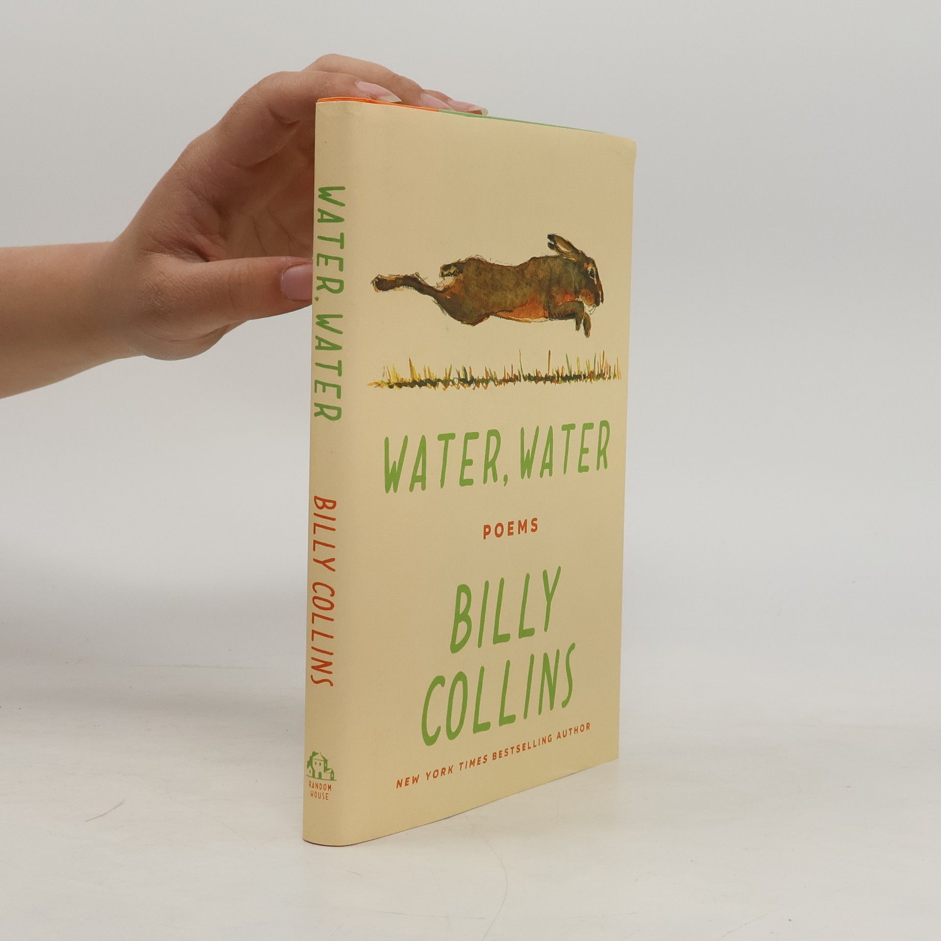 Billy Collins Water, Water