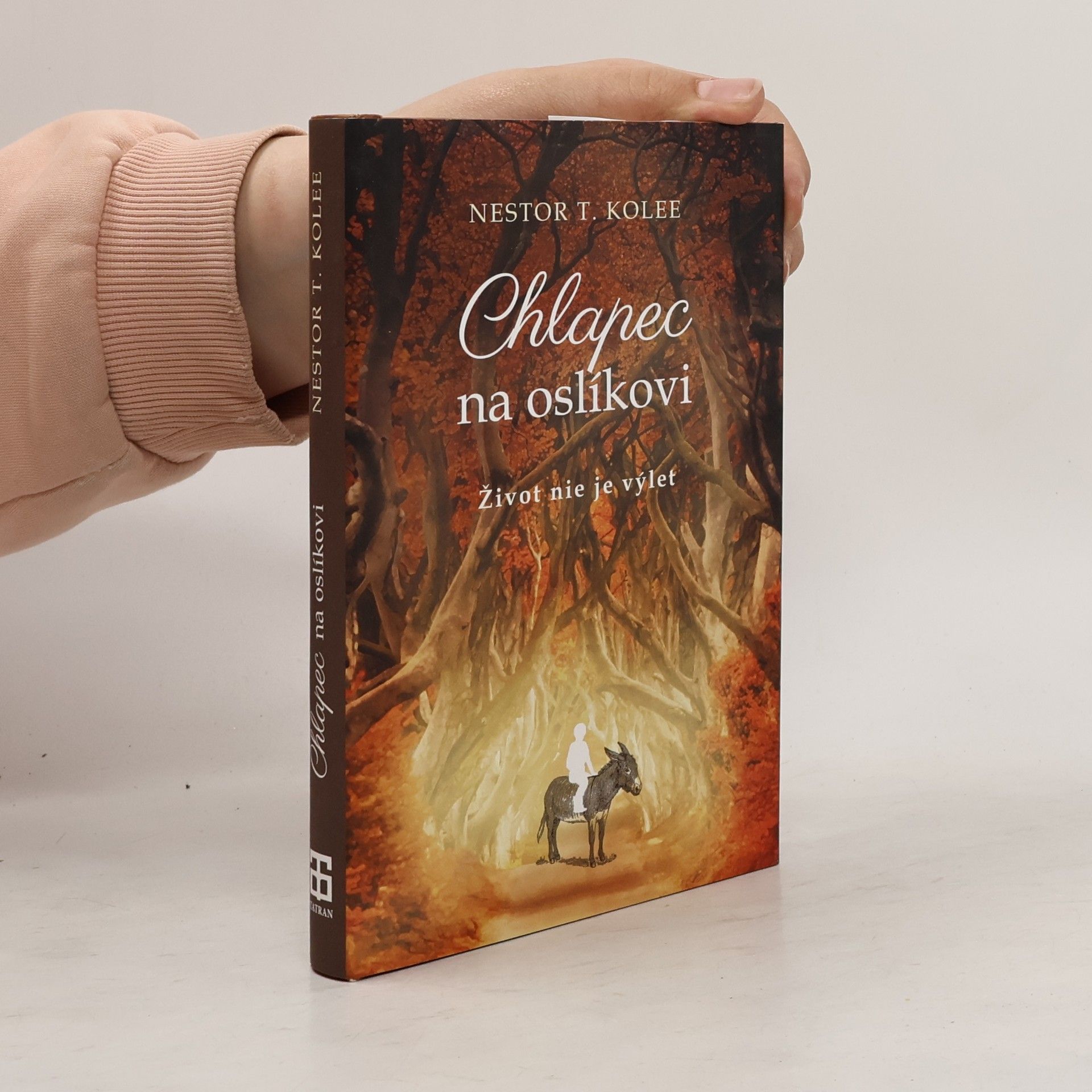 Nestor T. Kolee Chlapec na oslíkovi