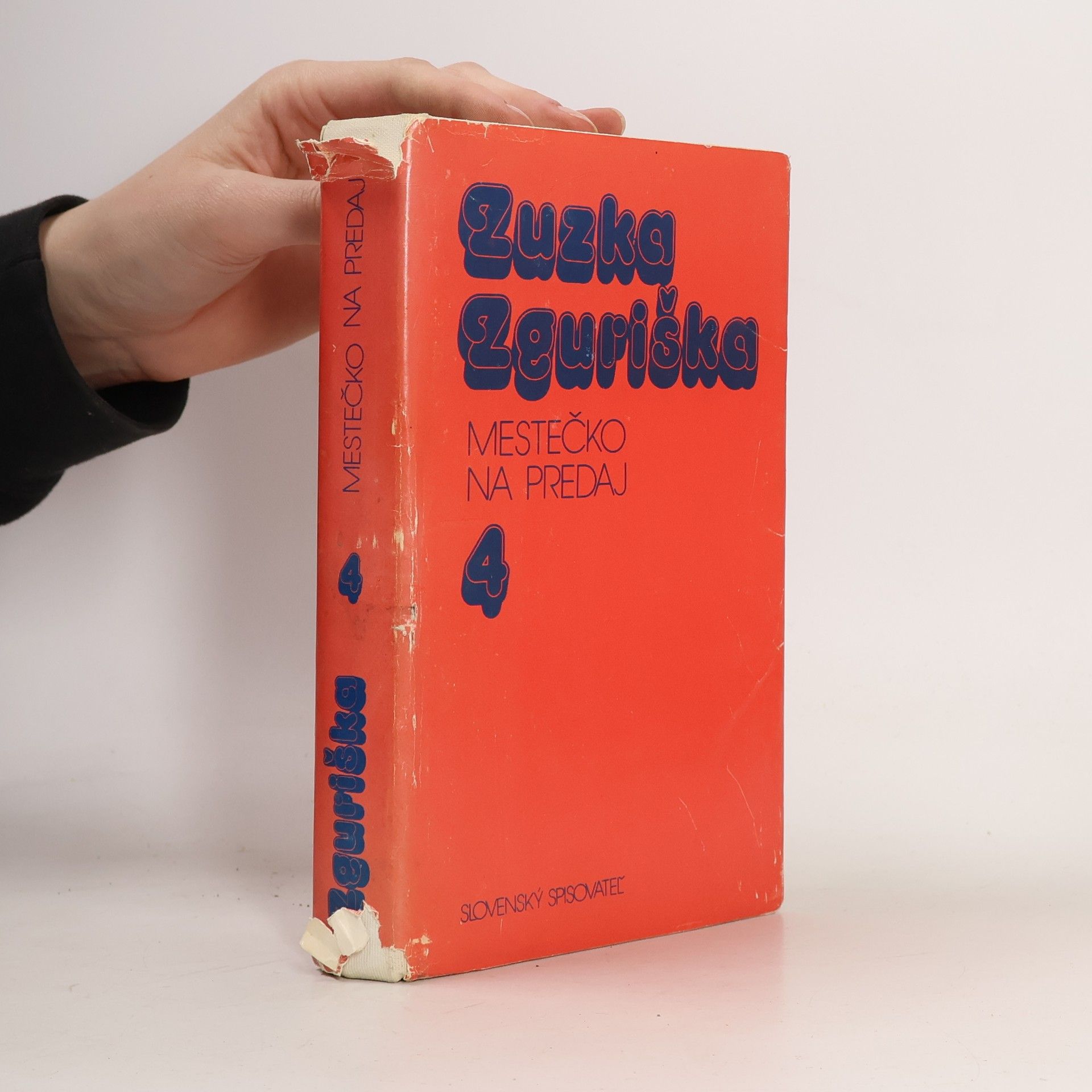 Zuzka Zguriška Mestečko na predaj 4