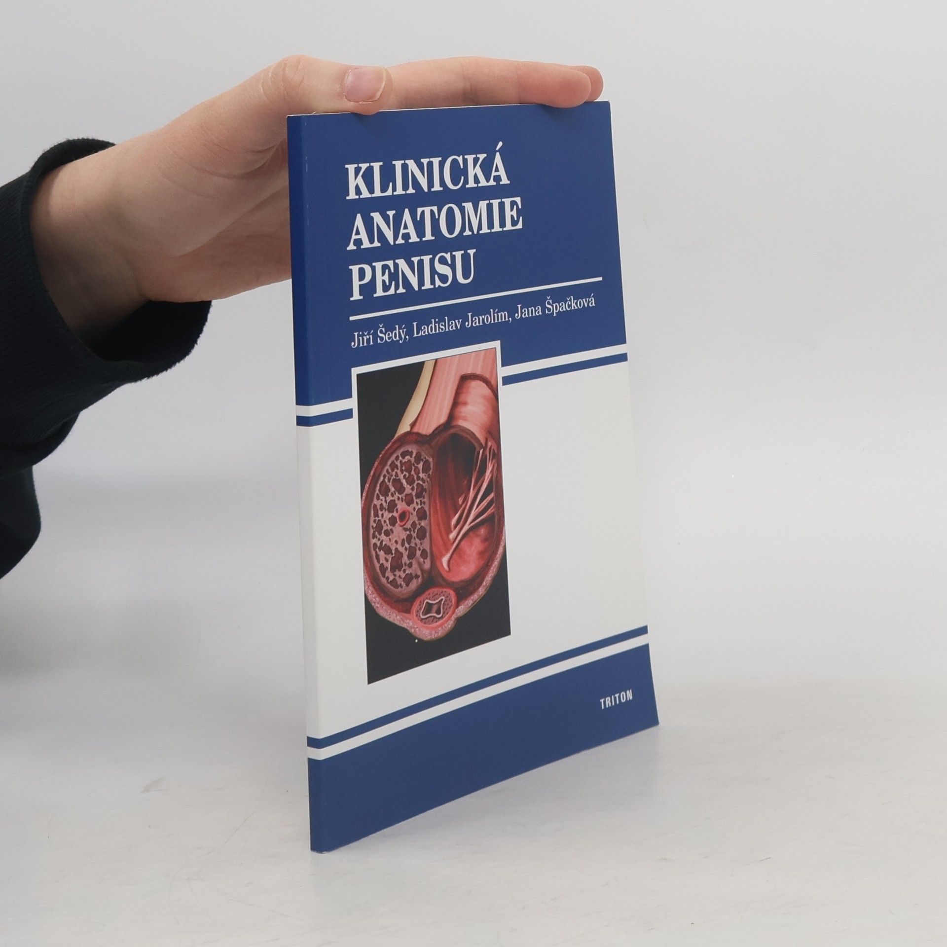 Ladislav Jarolím Klinická anatomie penisu