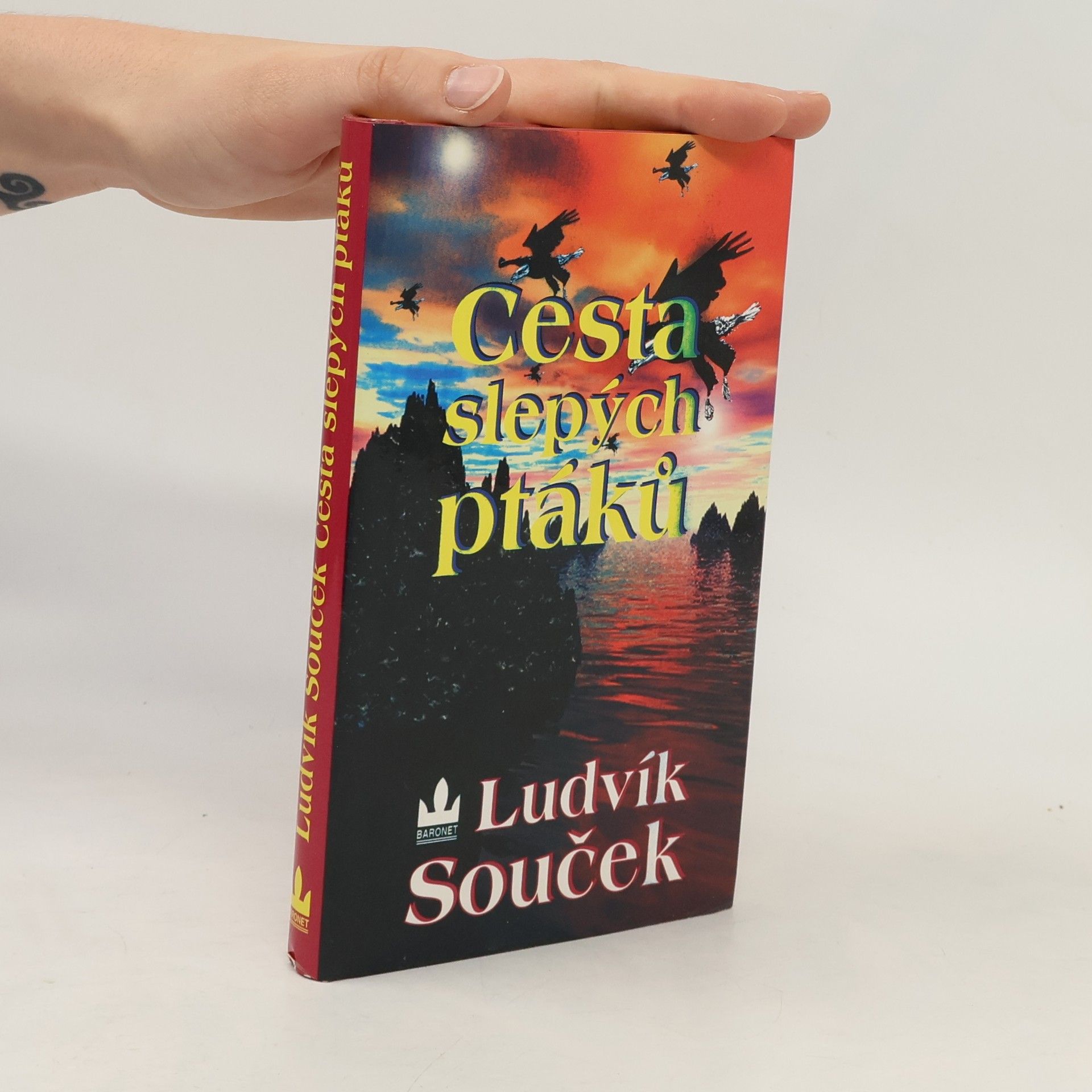 Ludvík Souček Cesta slepých ptáků