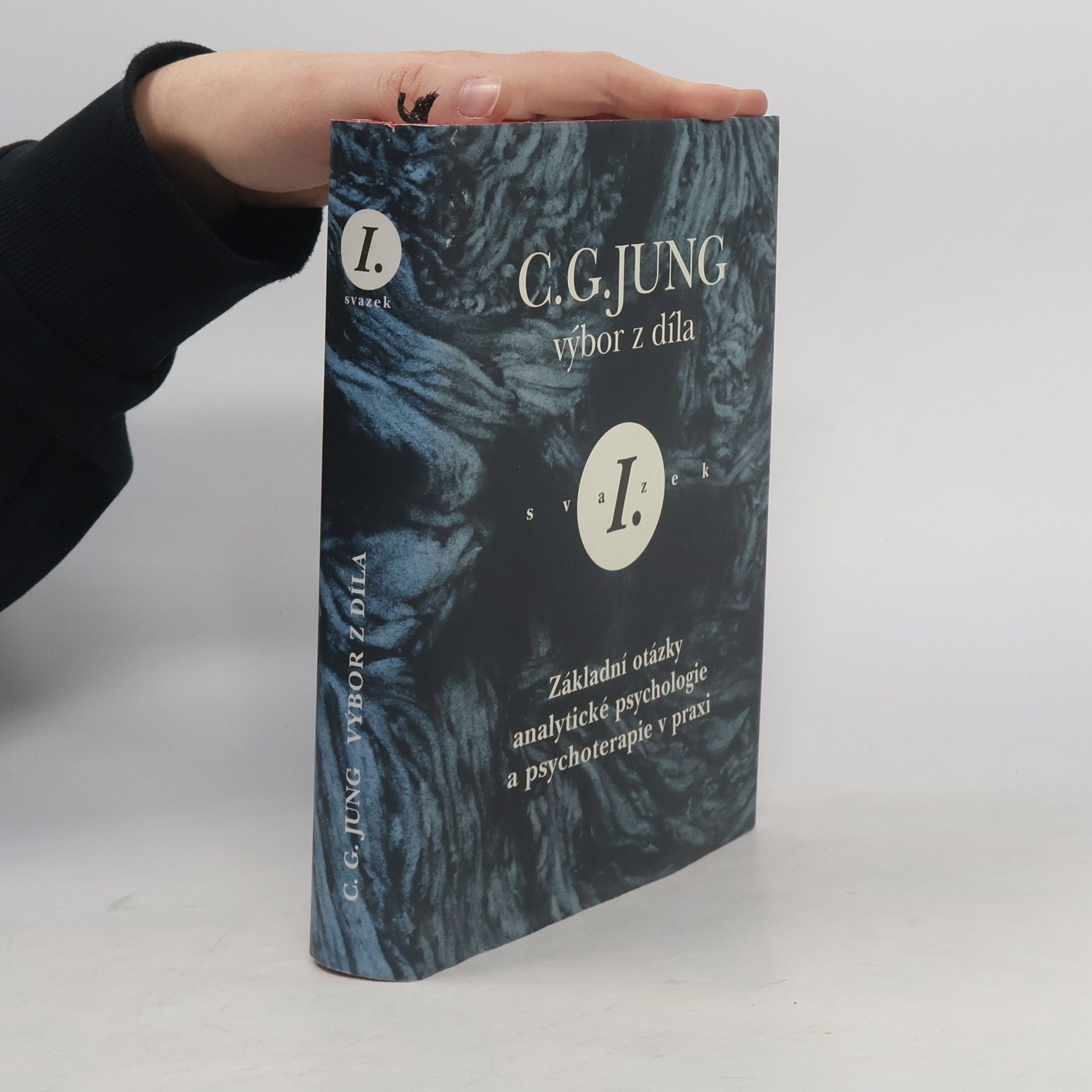Carl Gustav Jung Výbor z díla I.