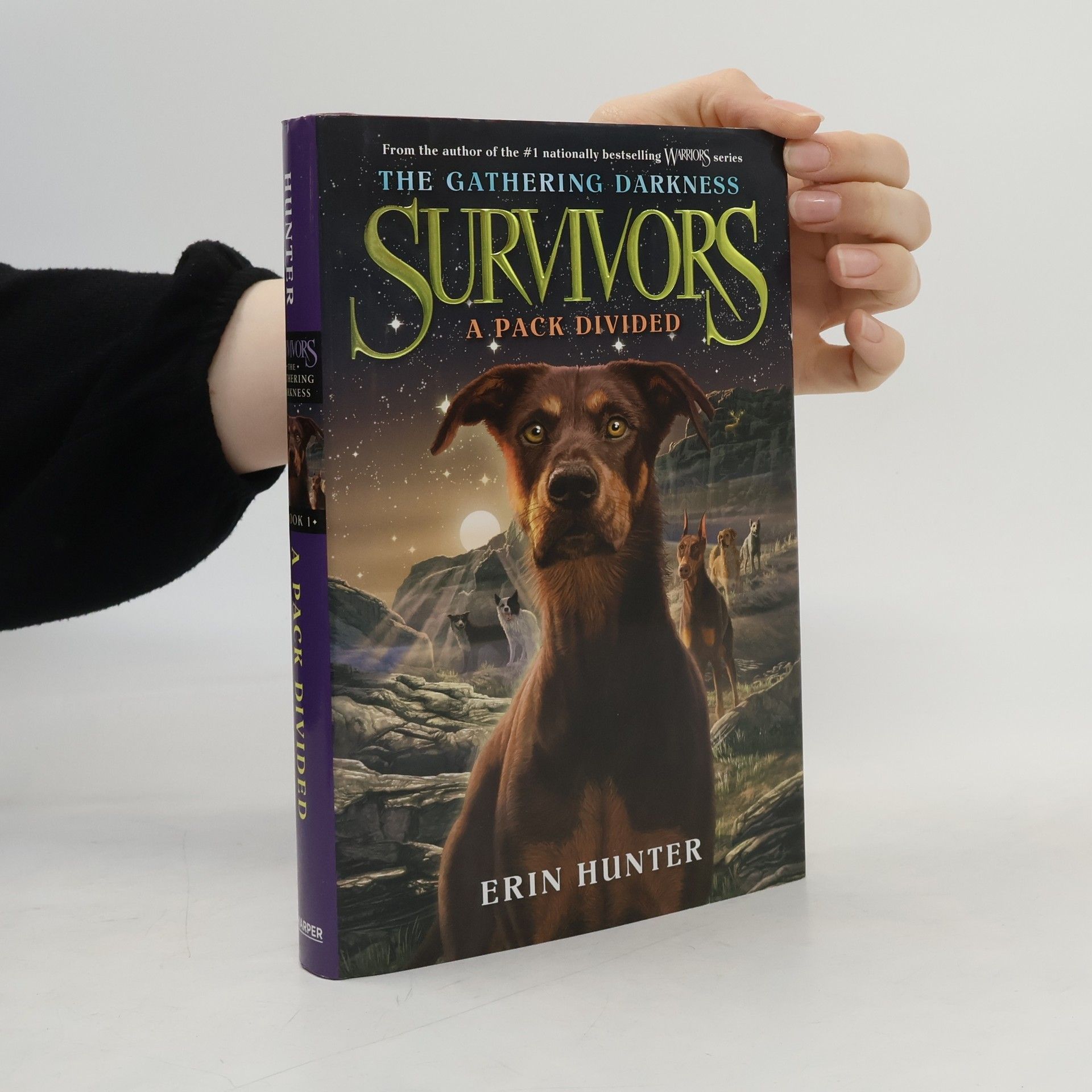 Erin Hunter Survivors: The Gathering Darkness - A Pack Divided