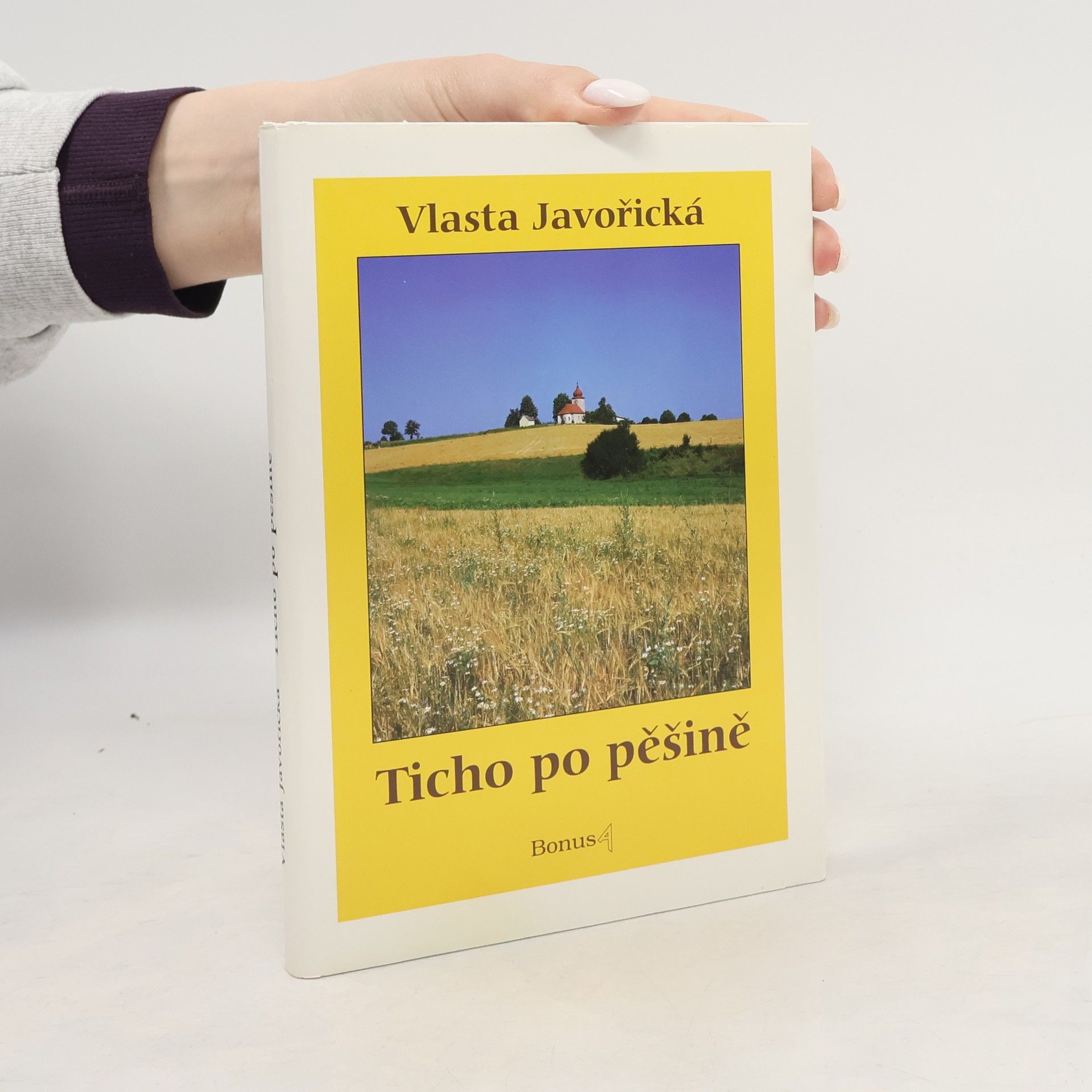 Ticho po pěšině