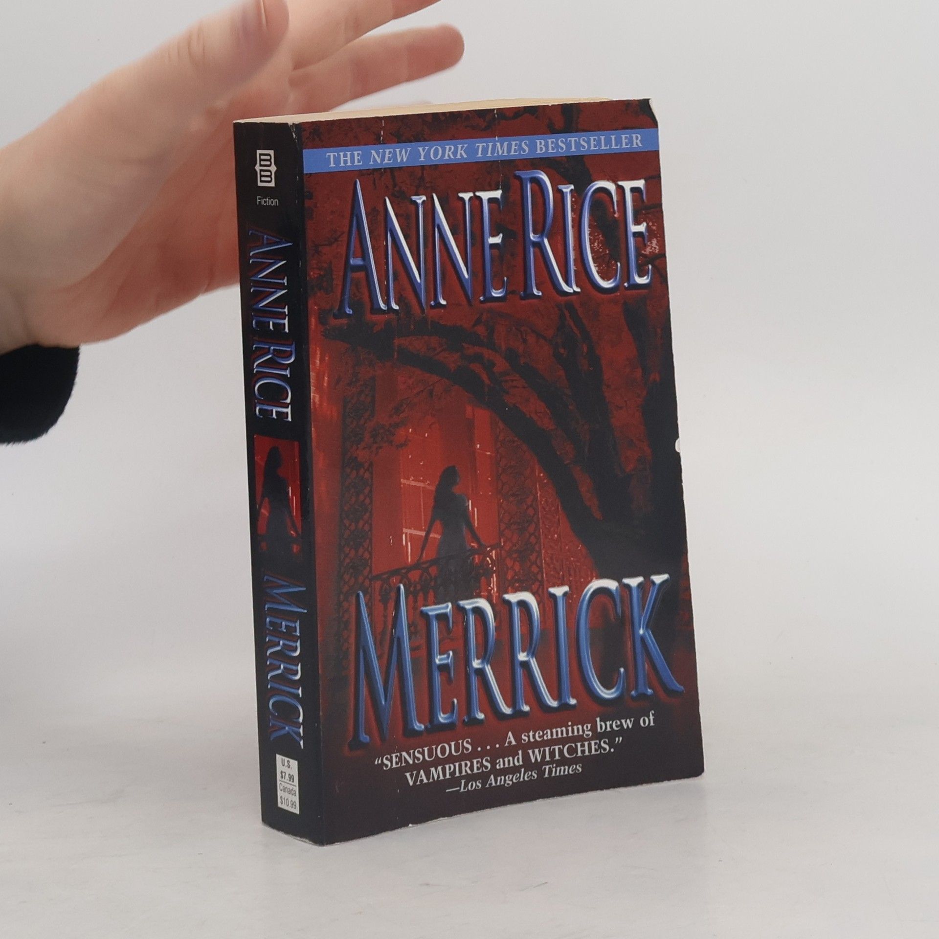 Anne Rice Merrick