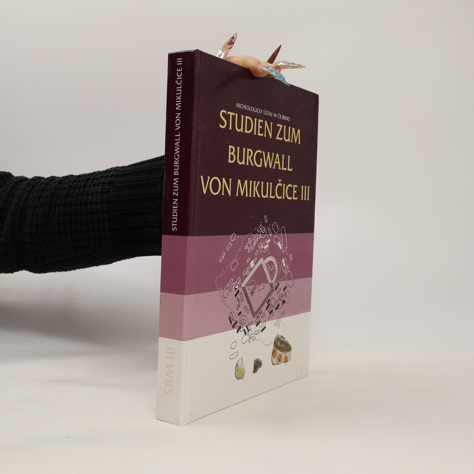 Studien zum Burgwall von Mikulčice