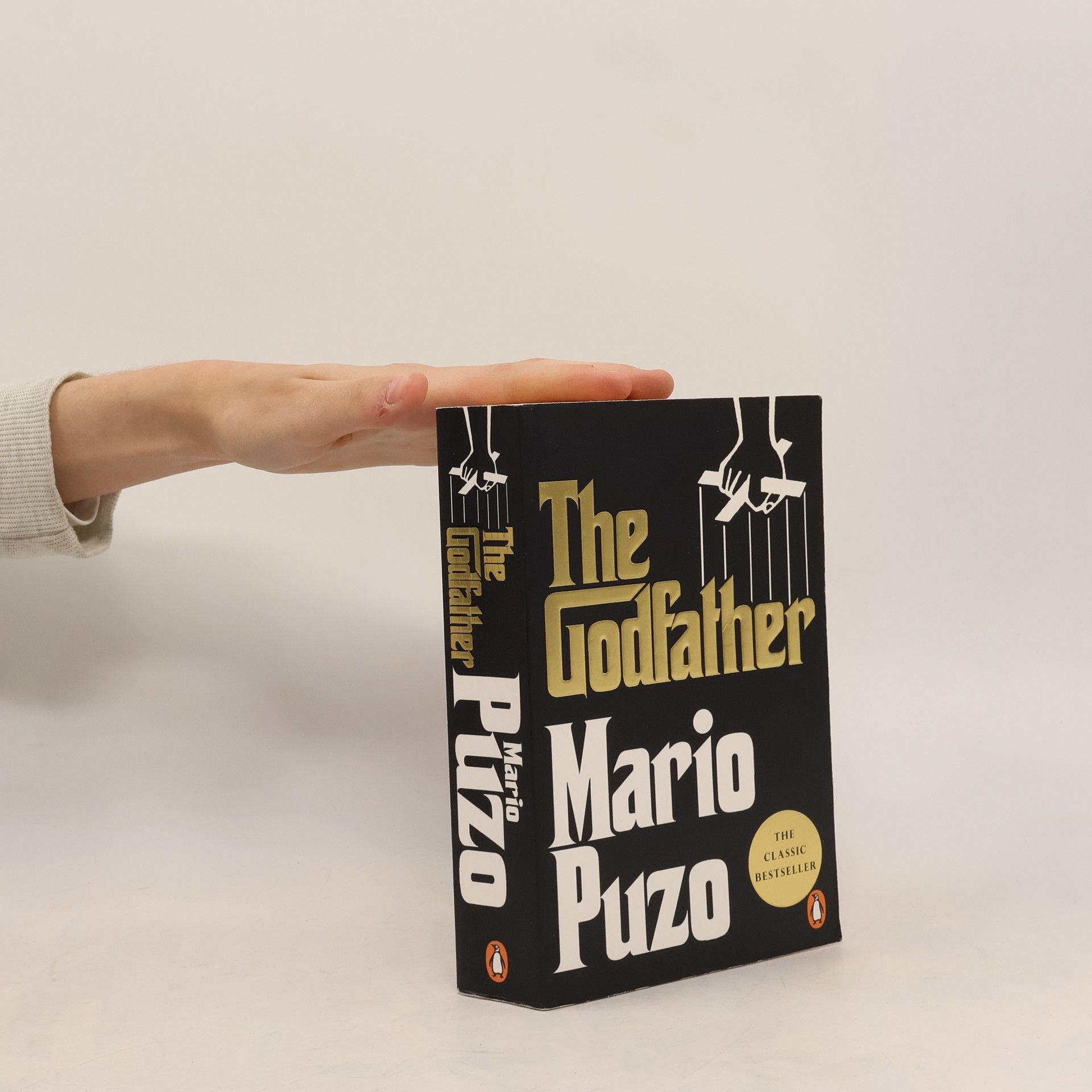 Mario Puzo The Godfather