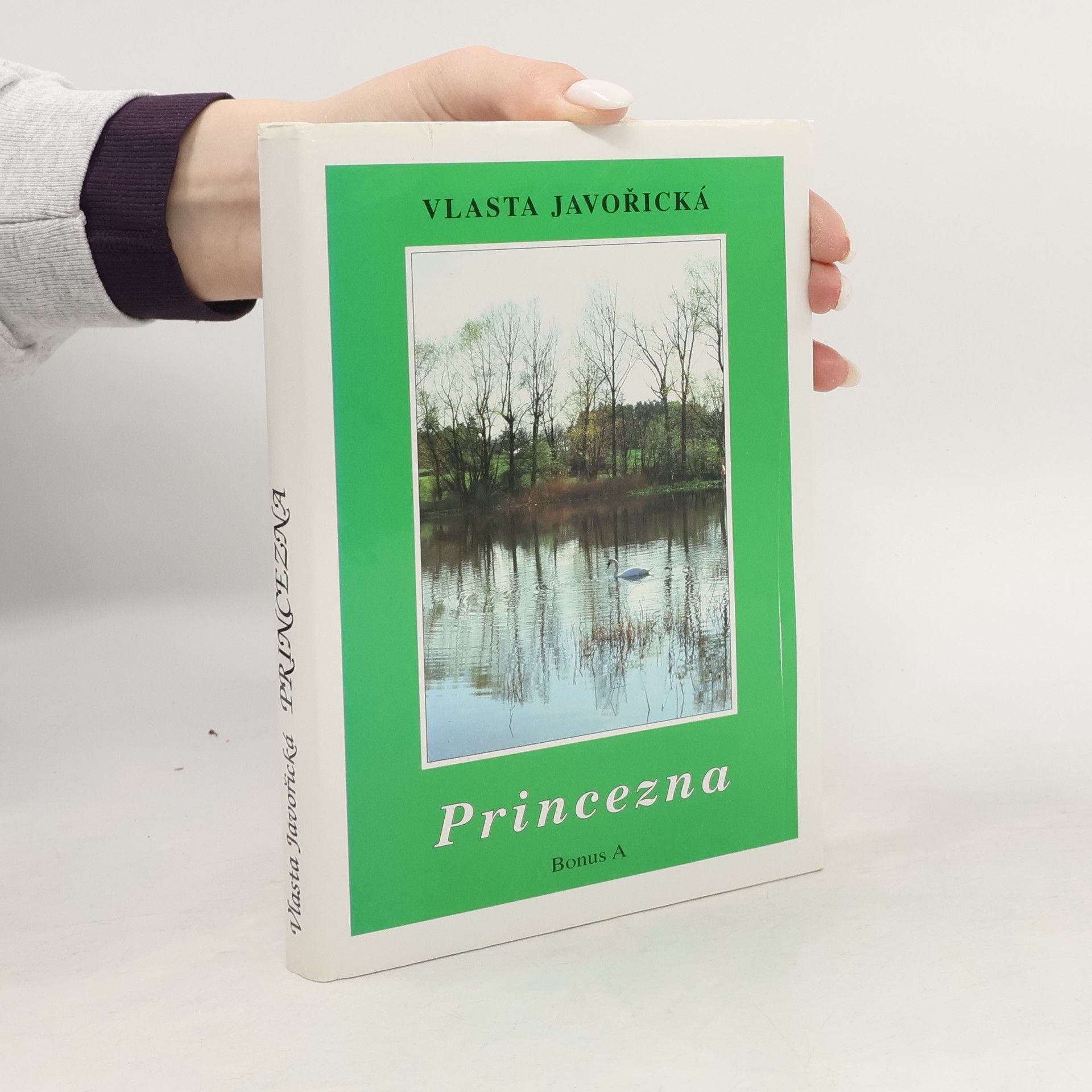 Vlasta Javořická Princezna : román dívky dvacátého století