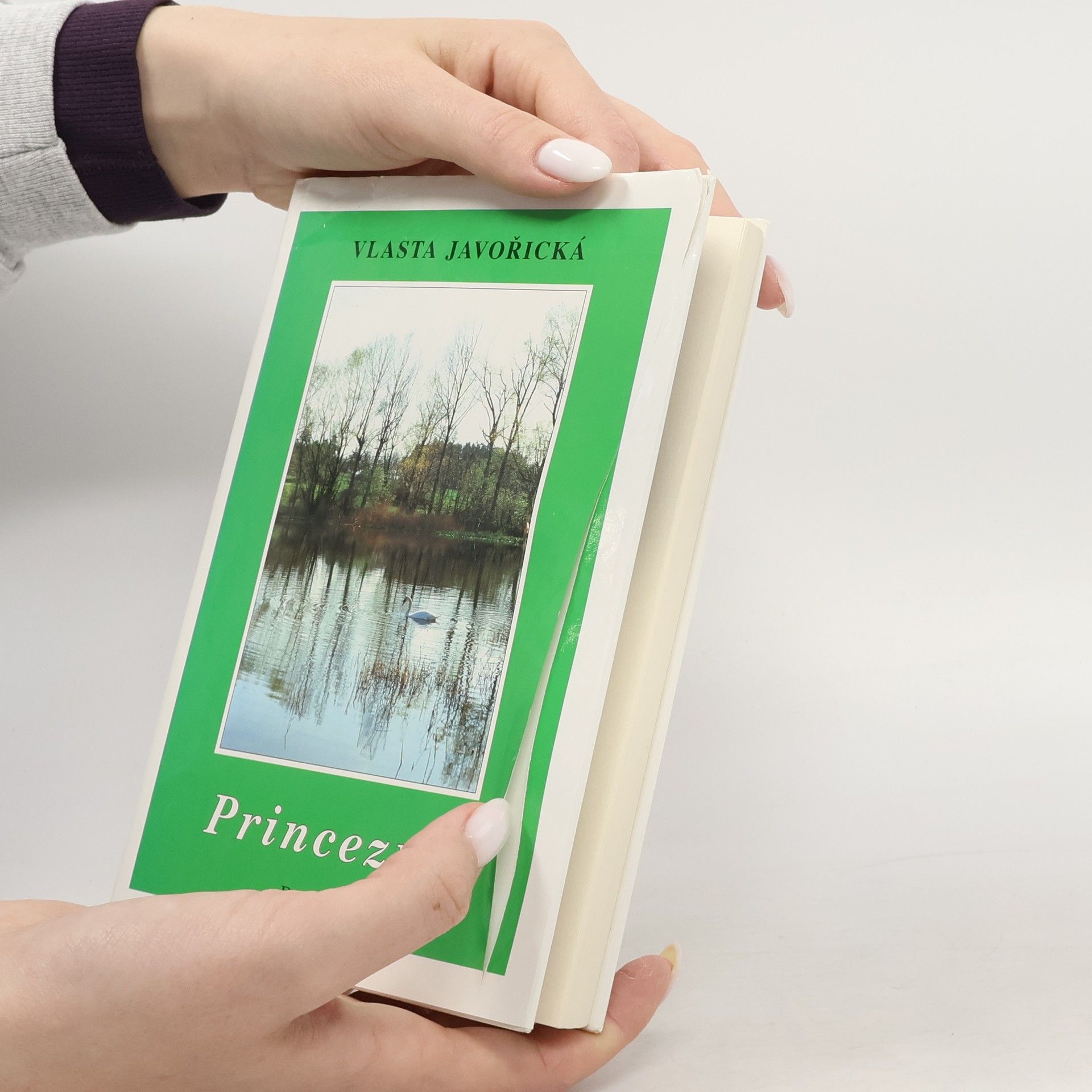 Vlasta Javořická Princezna : román dívky dvacátého století