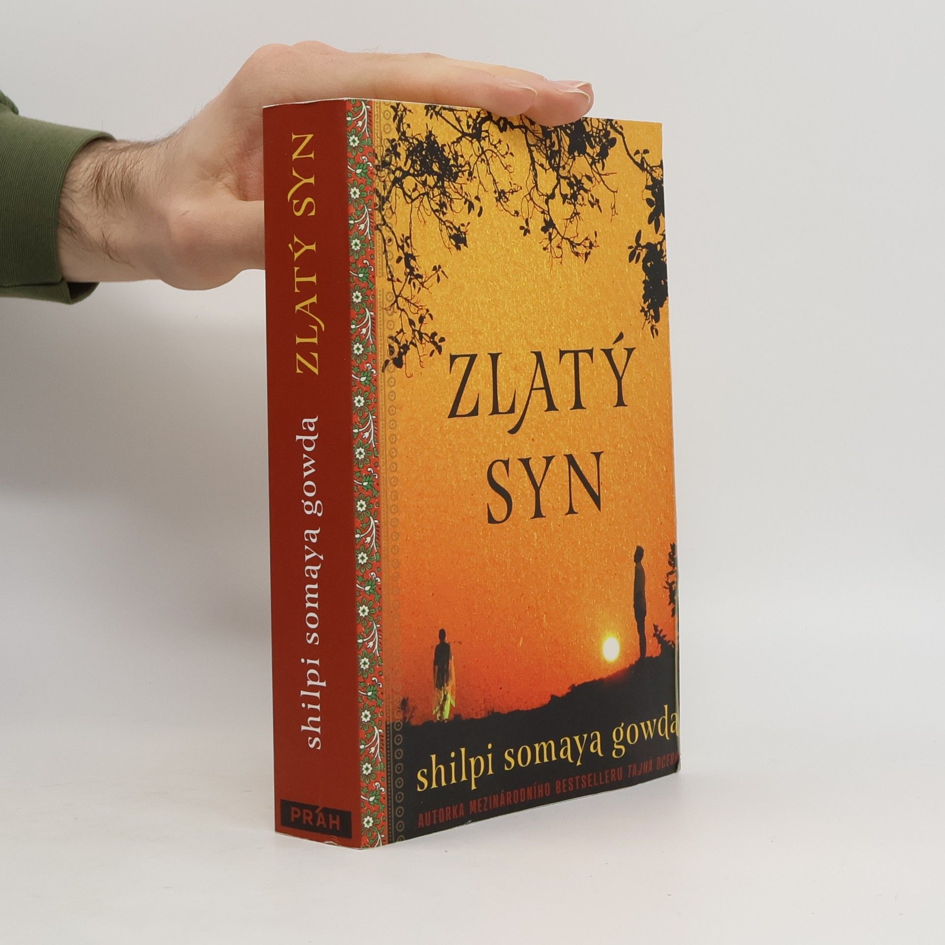 Shilpi Somaya Gowda Zlatý syn