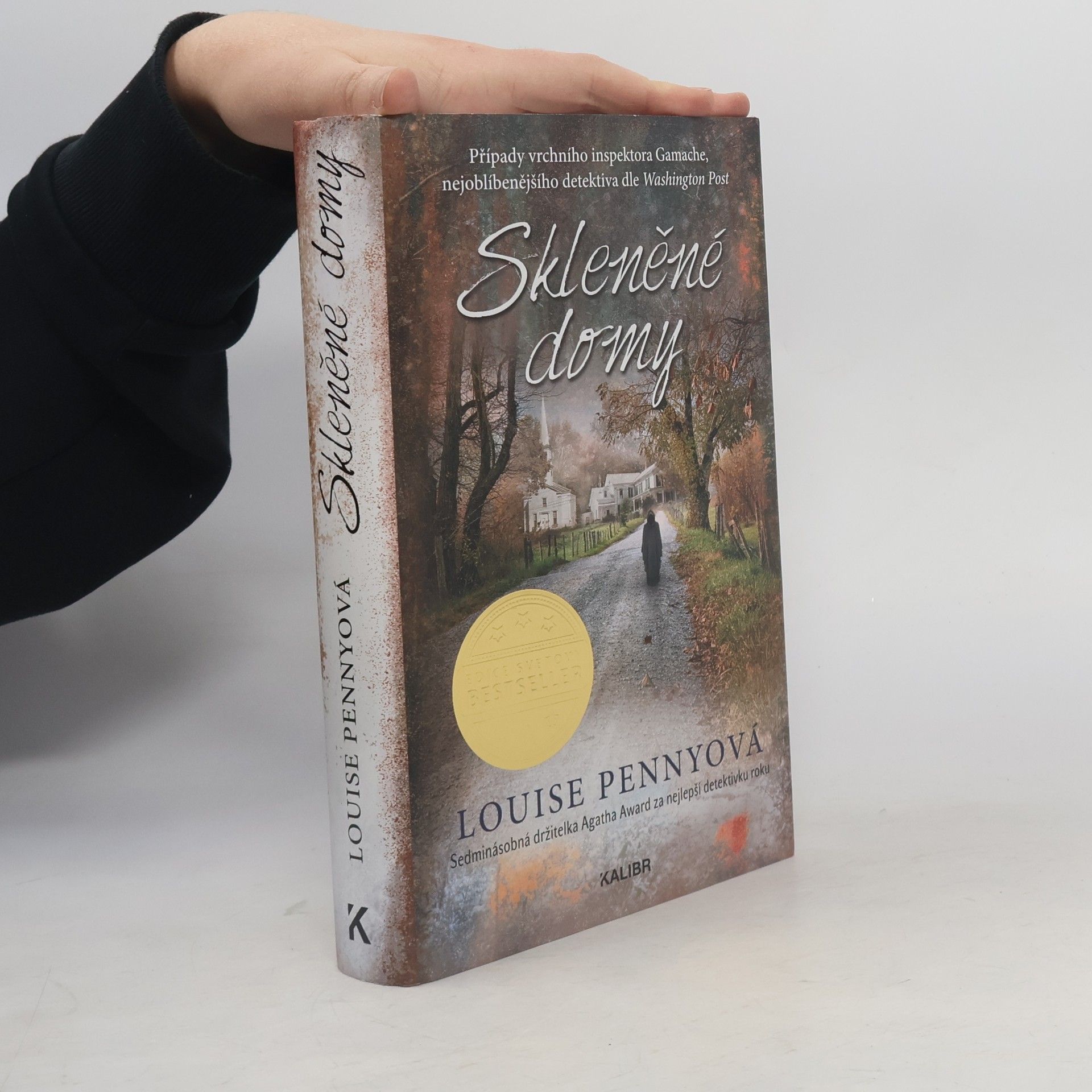 Louise Penny Skleněné domy