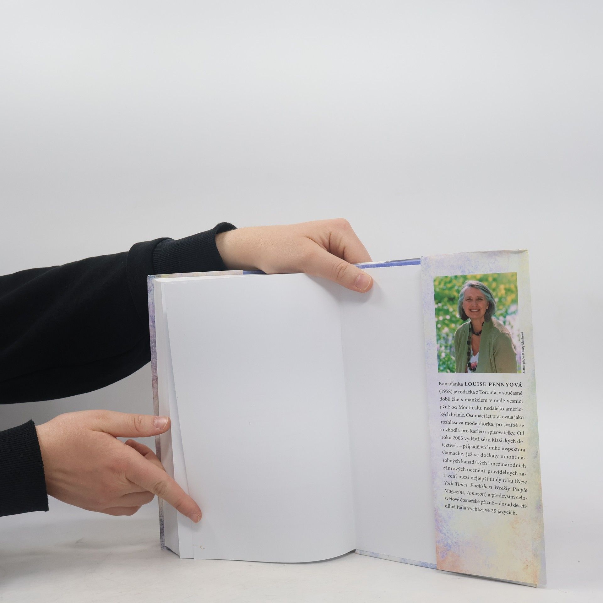 Louise Penny Vražedný chlad