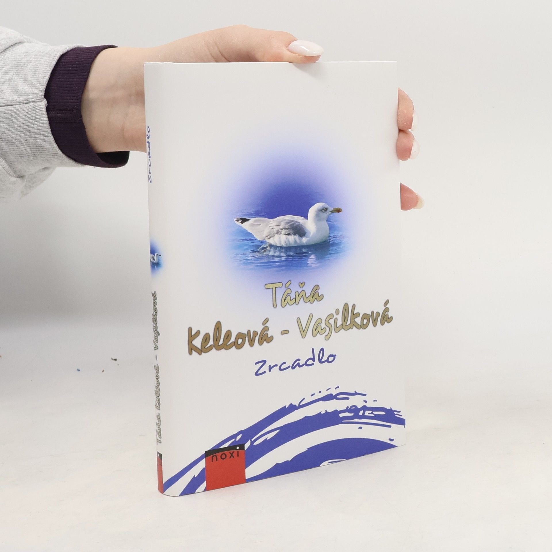 Táňa Keleová Vasilková Zrcadlo
