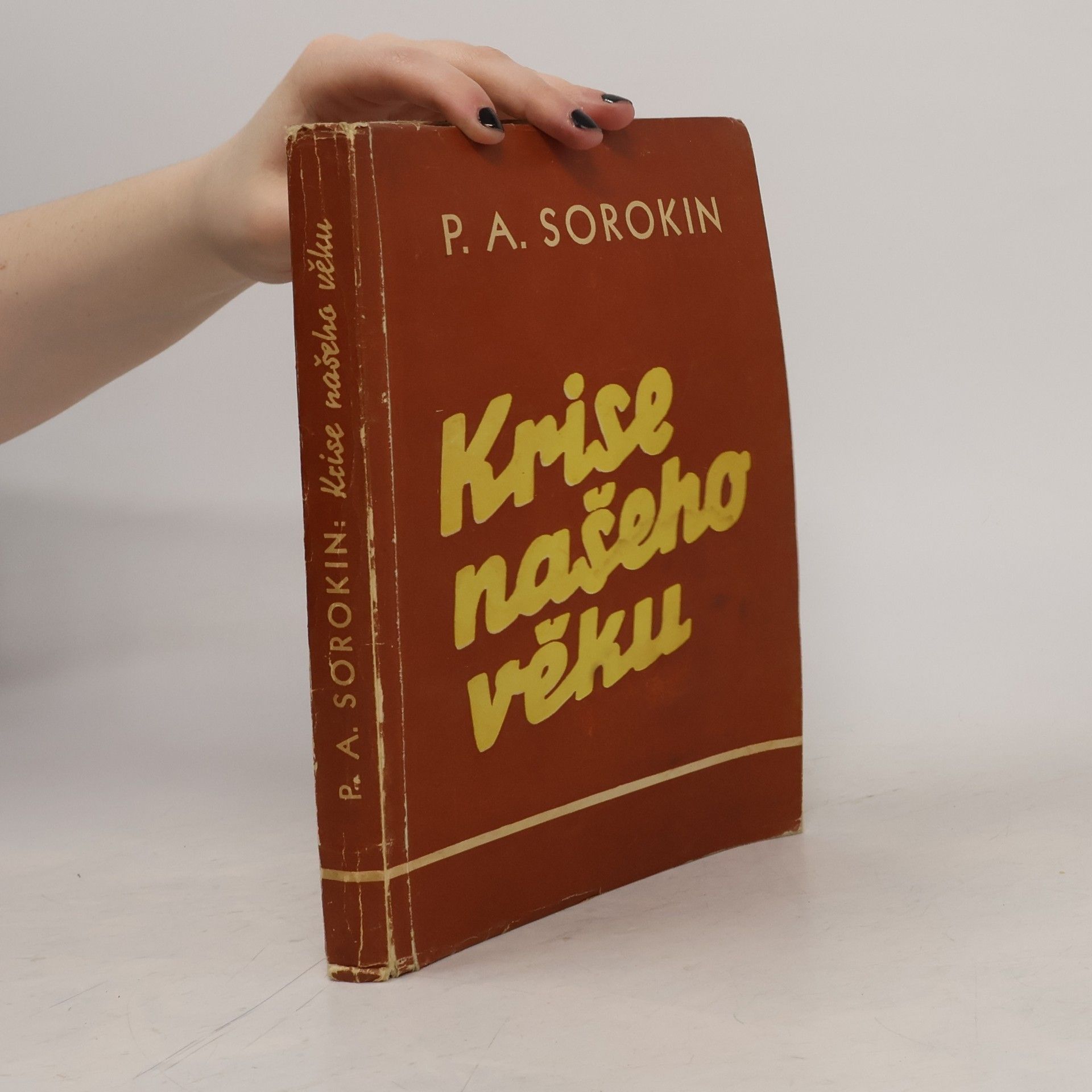 František Dědek Krise našeho věku