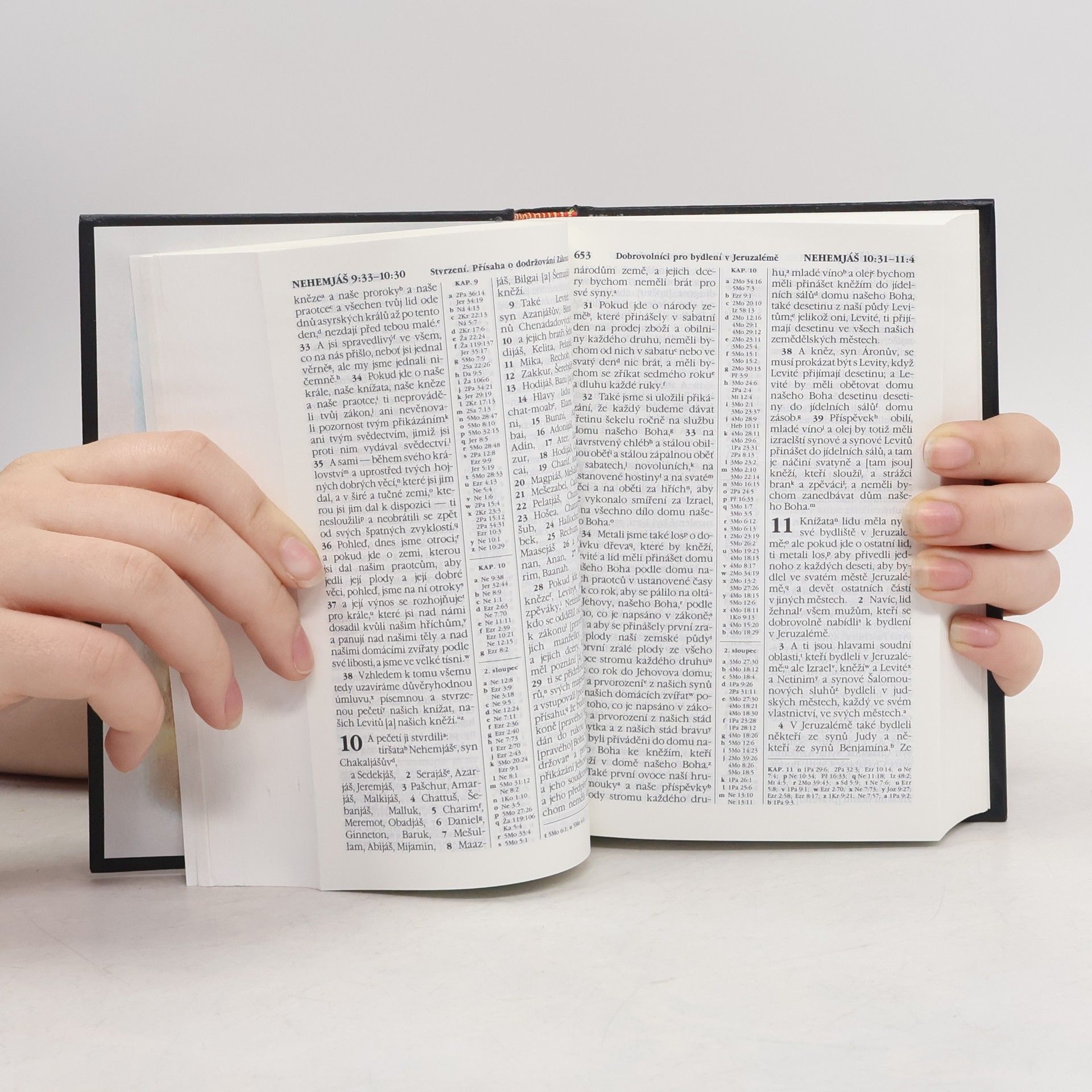 Various authors Svaté Písmo. Překlad nového světa