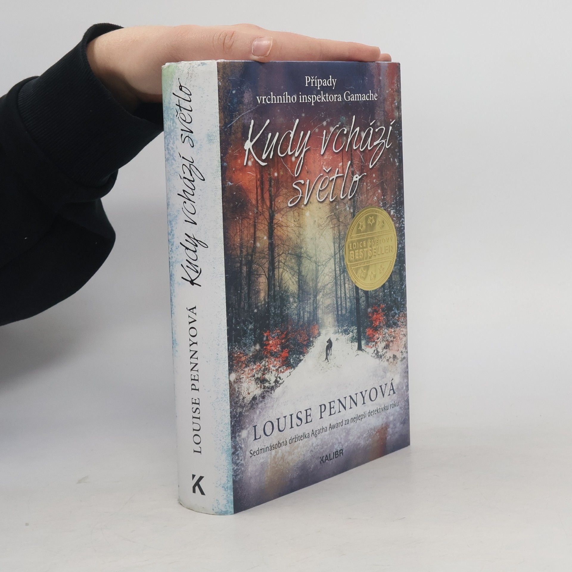 Louise Penny Kudy vchází světlo