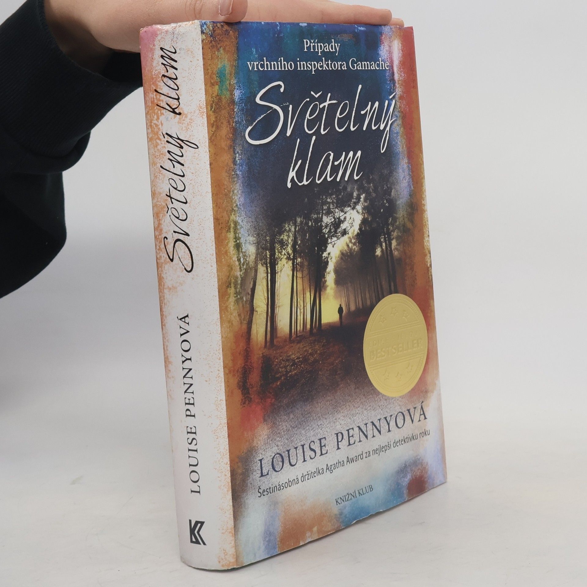 Louise Penny Světelný klam