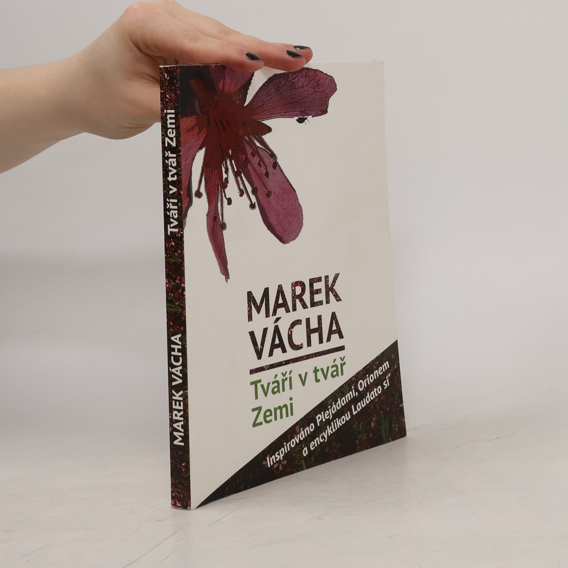 Marek Vácha Tváří v tvář Zemi
