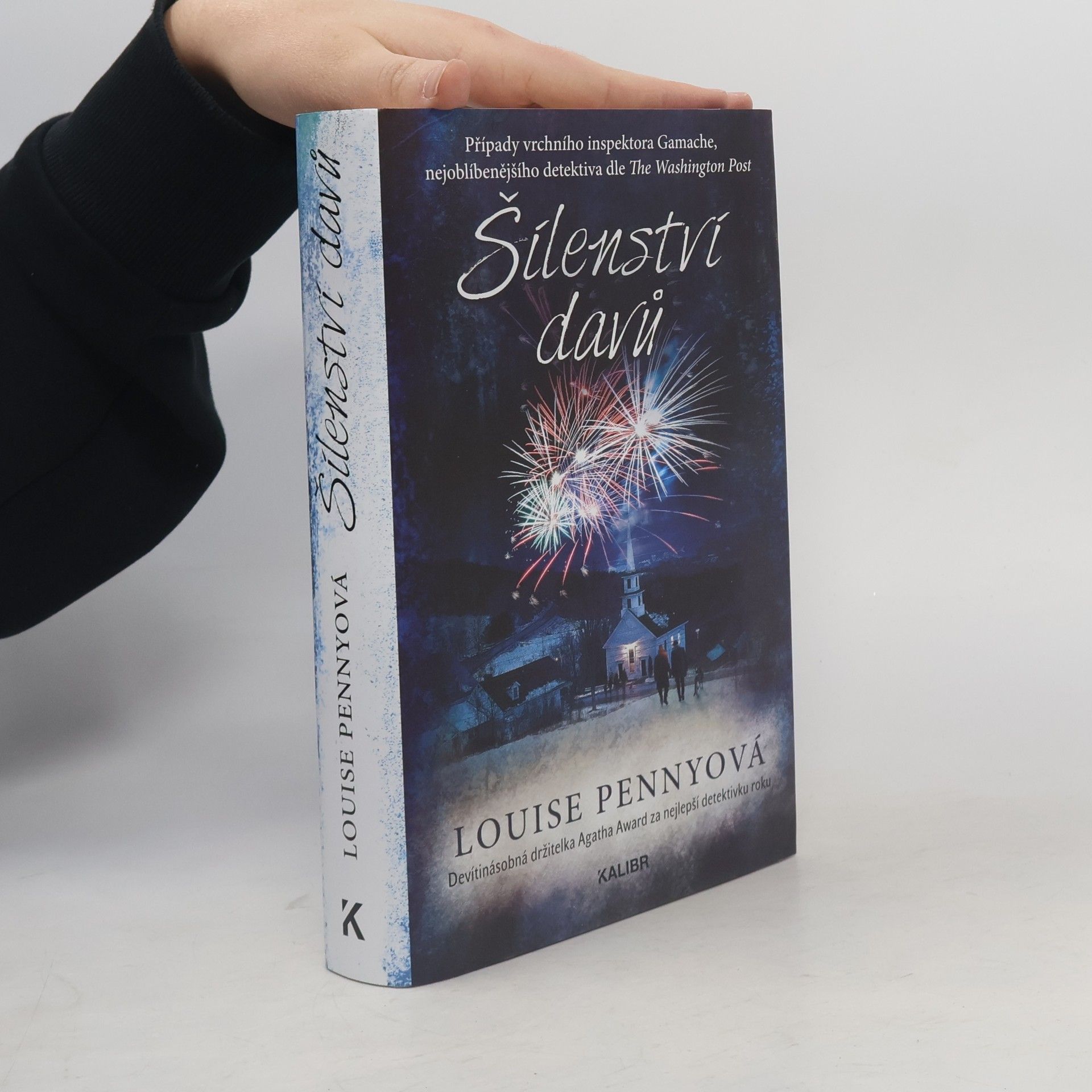 Louise Penny Šílenství davů