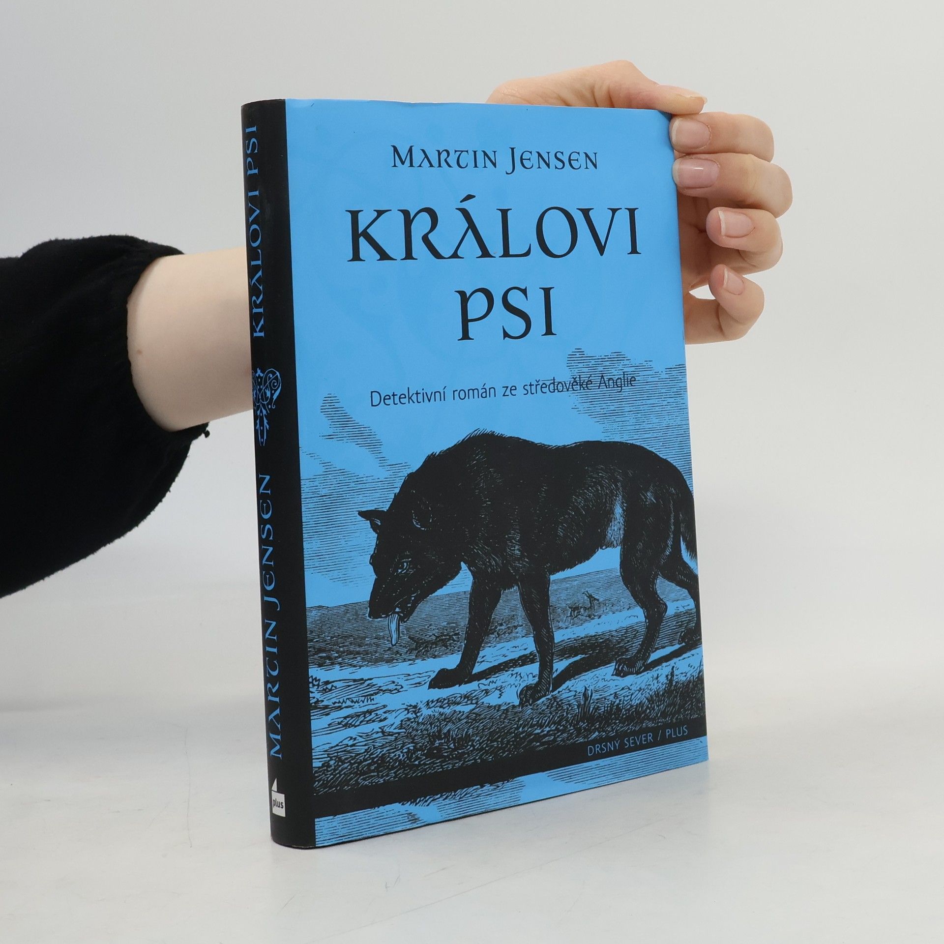 Martin Jensen Královi psi