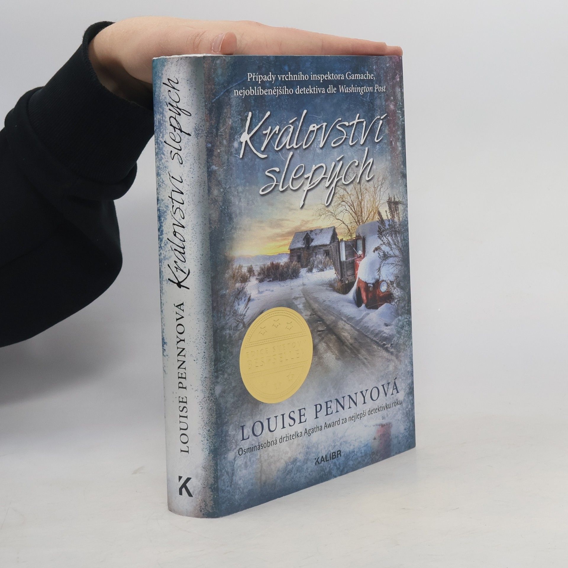Louise Penny Království slepých