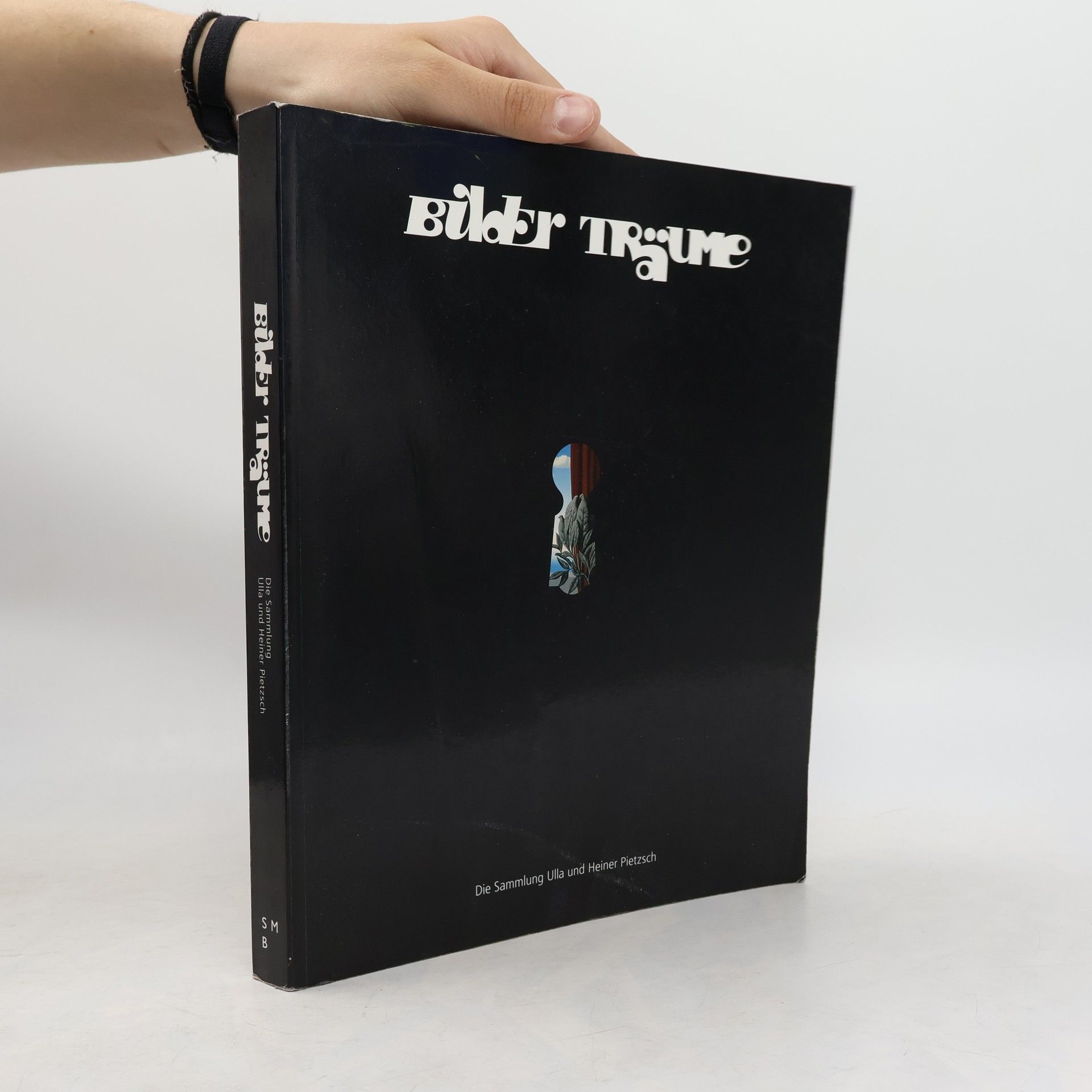 Udo Kittelmann Bilder Träume. Die Sammlung Ulla und Heiner Pietzsch