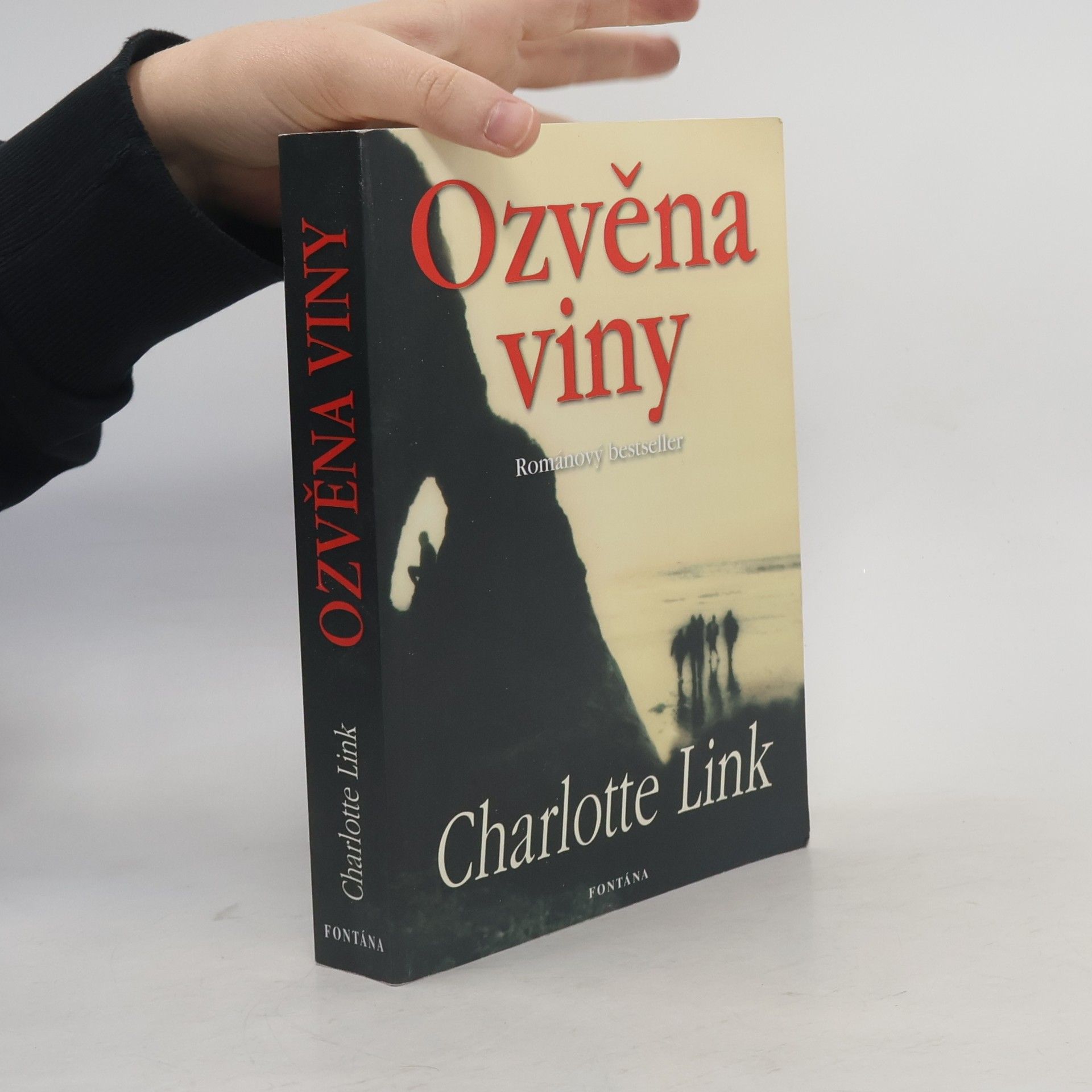 Charlotte Link Ozvěna viny
