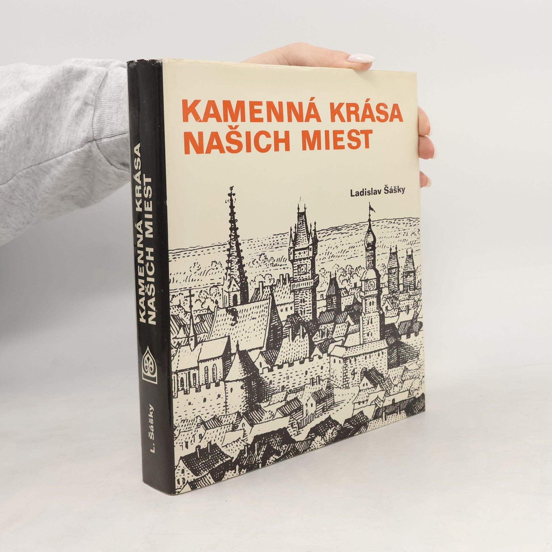 Ladislav Šášky Kamenná krása našich miest