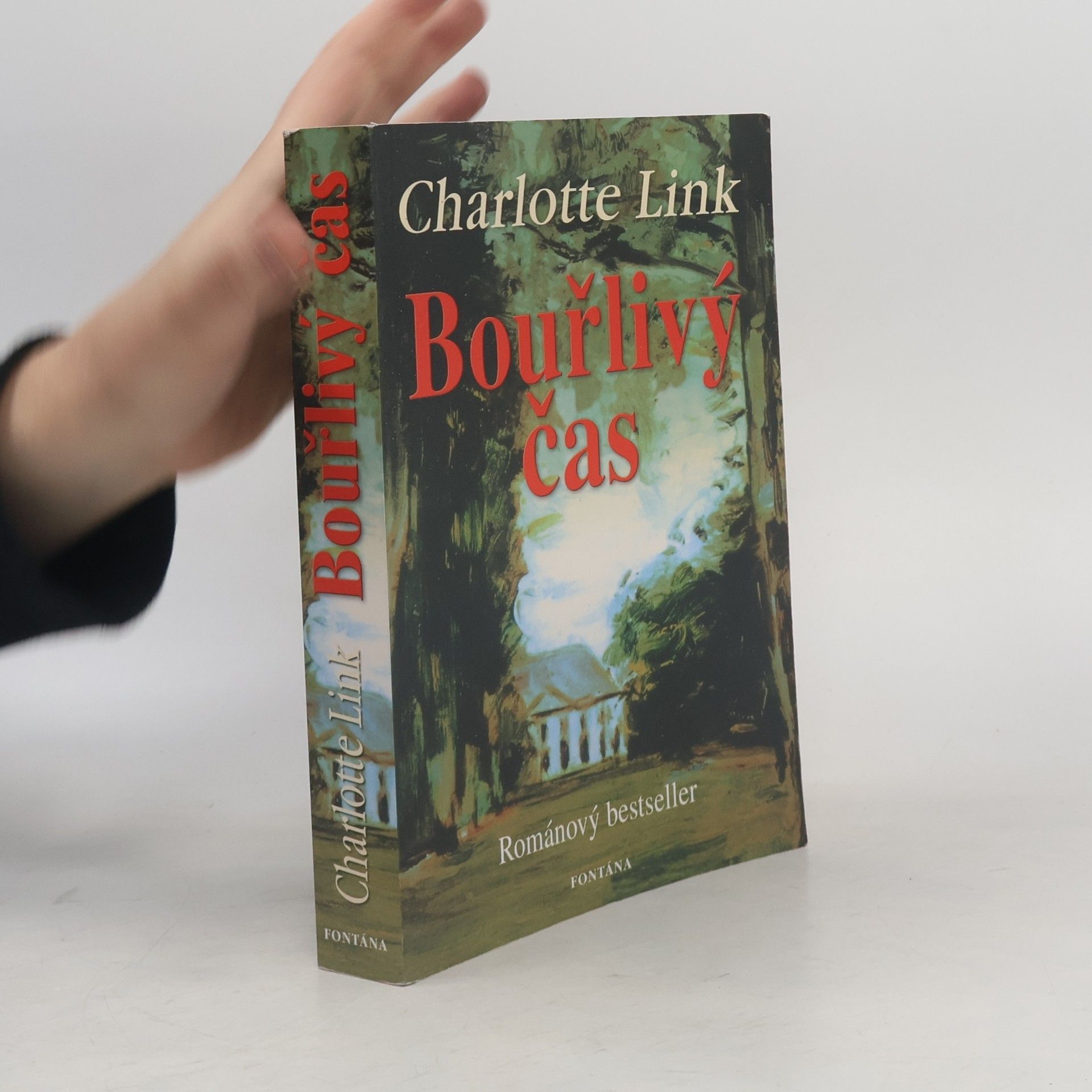 Charlotte Link Bouřlivý čas