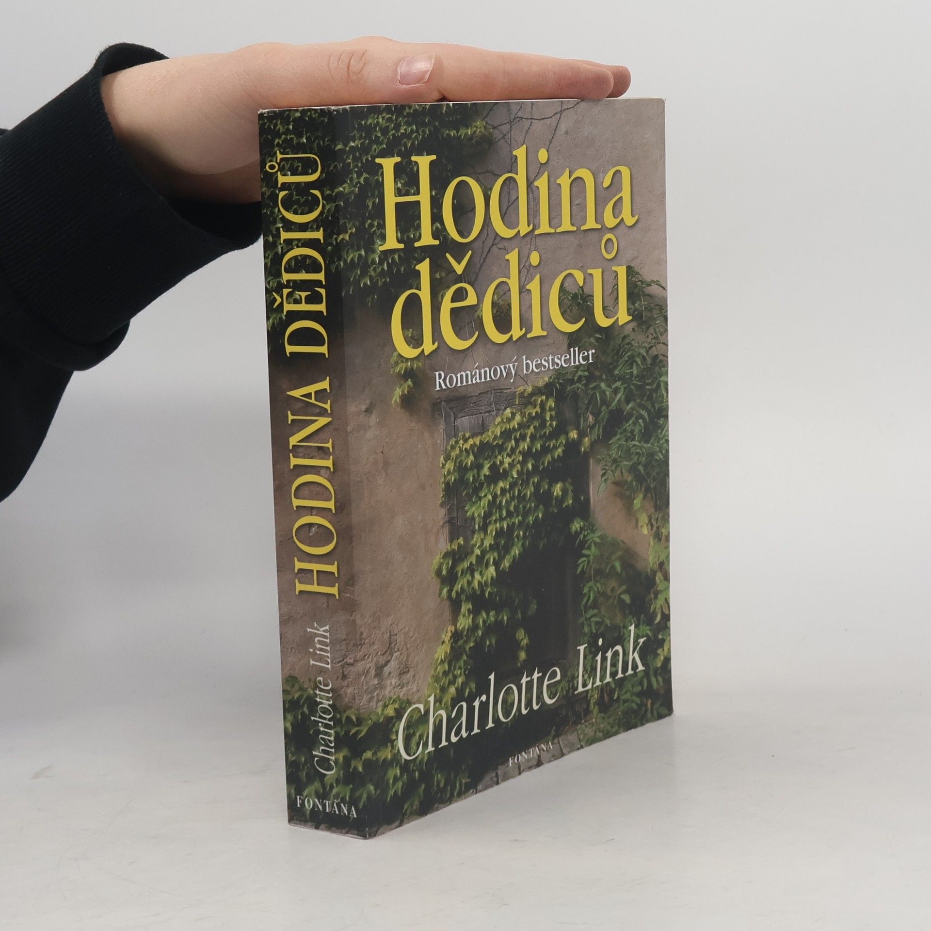 Charlotte Link Hodina dědiců