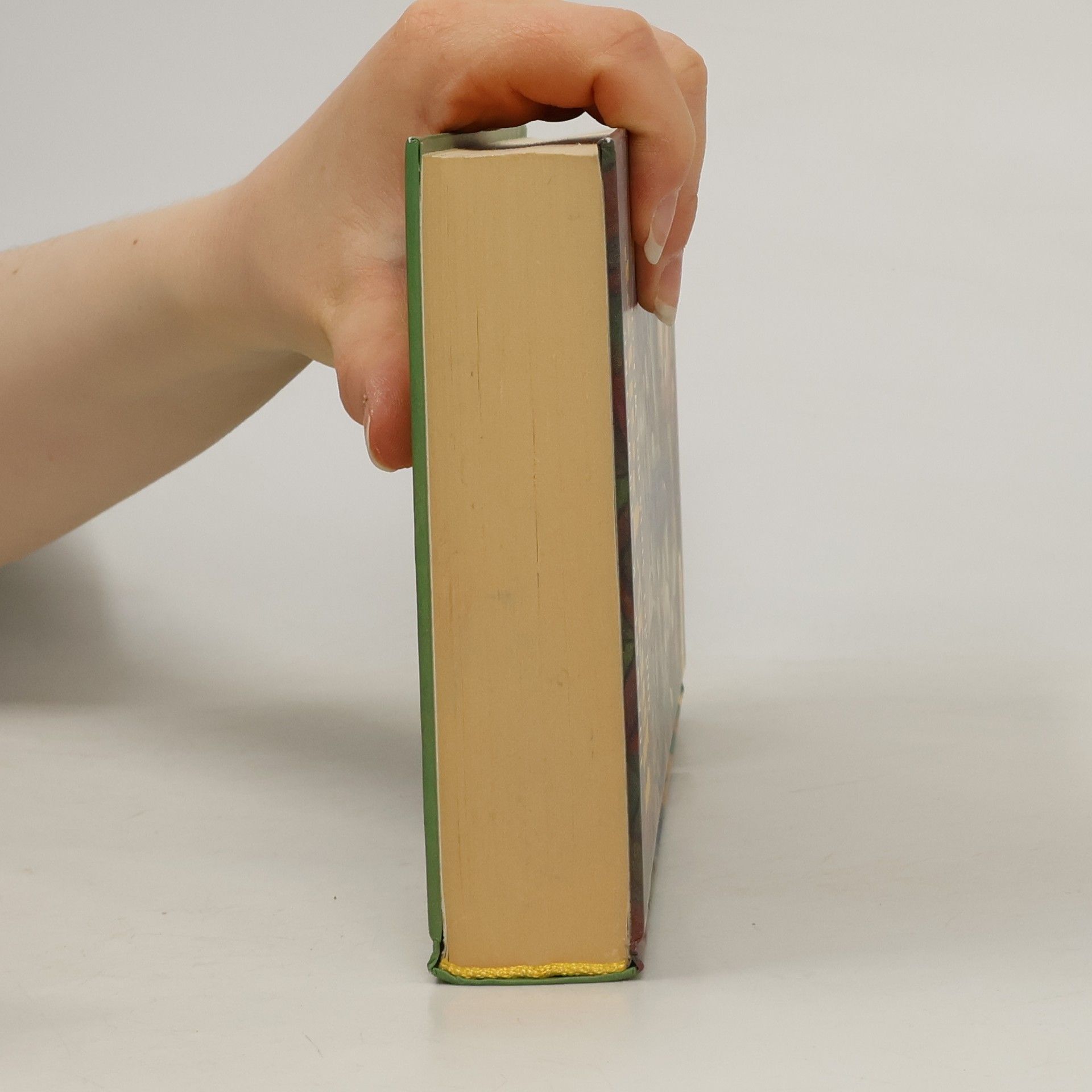 J. K. Rowling Harry Potter und der Stein der Weisen