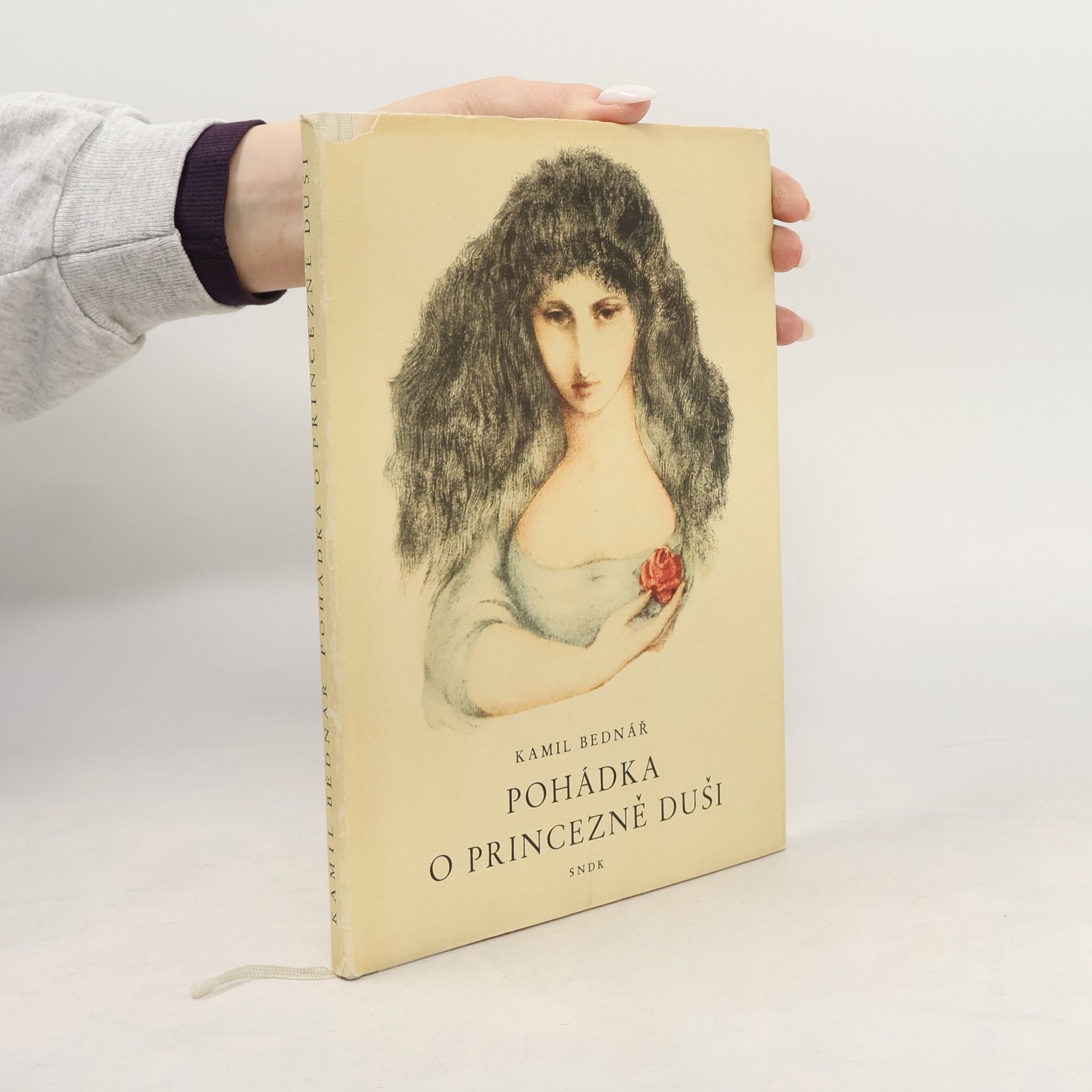 Kamil Bednář Pohádka o princezně Duši