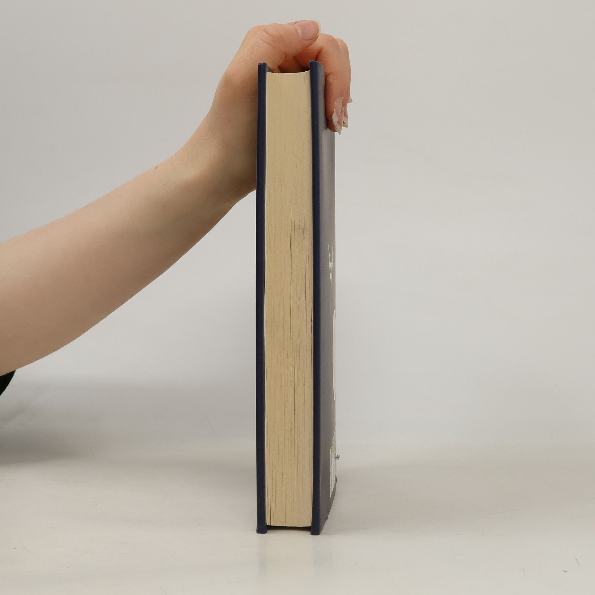 Joanne K. Rowling Fantastic Beasts And Where to Find Them