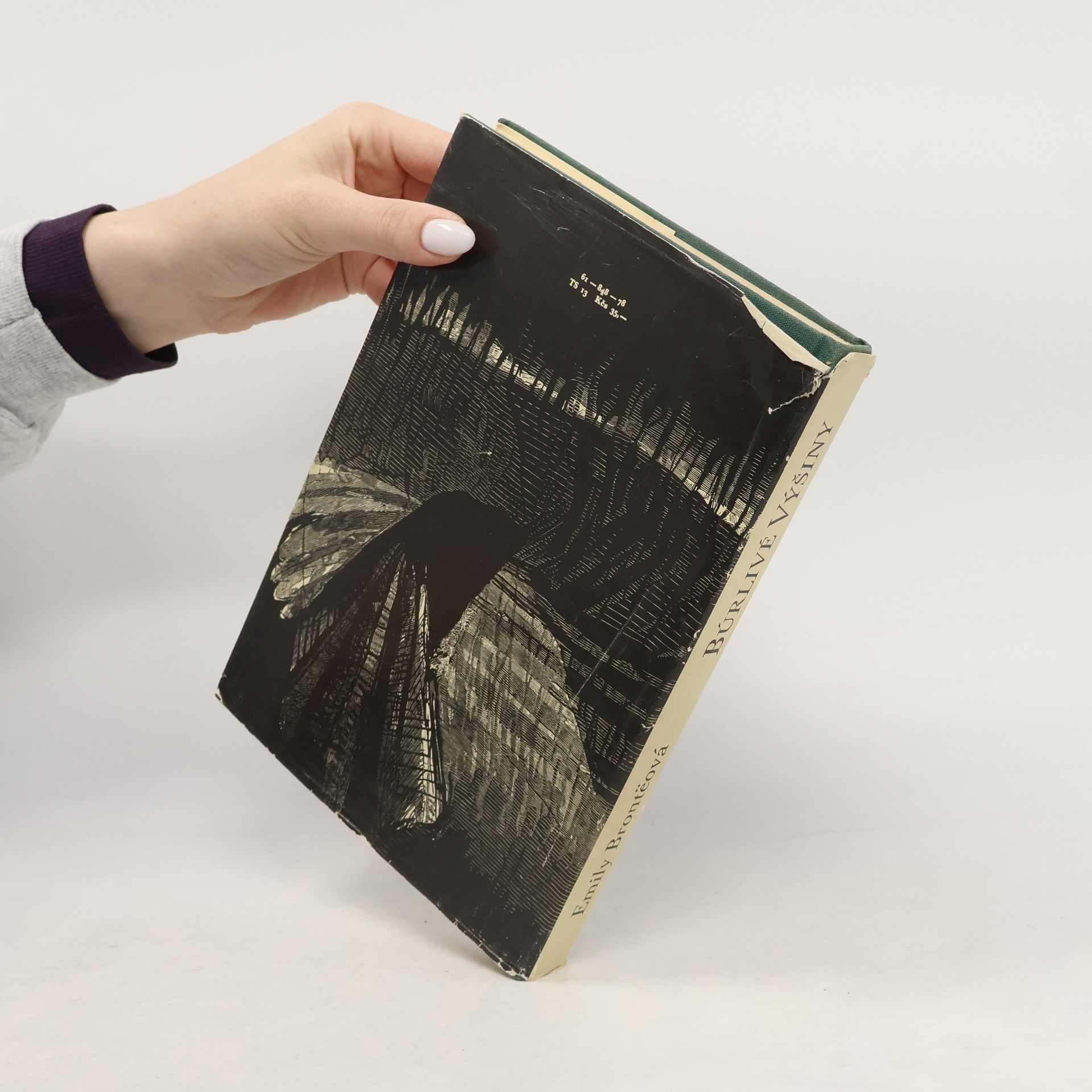 Emily Brontë Búrlivé výšiny