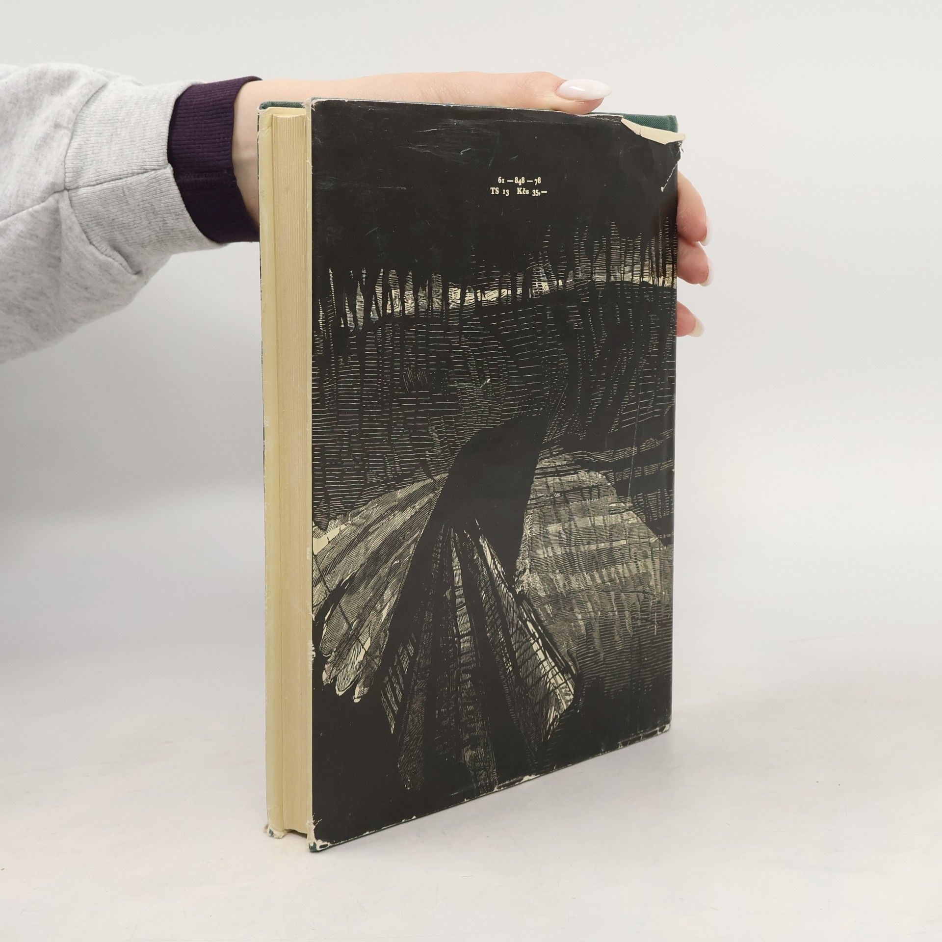 Emily Brontë Búrlivé výšiny