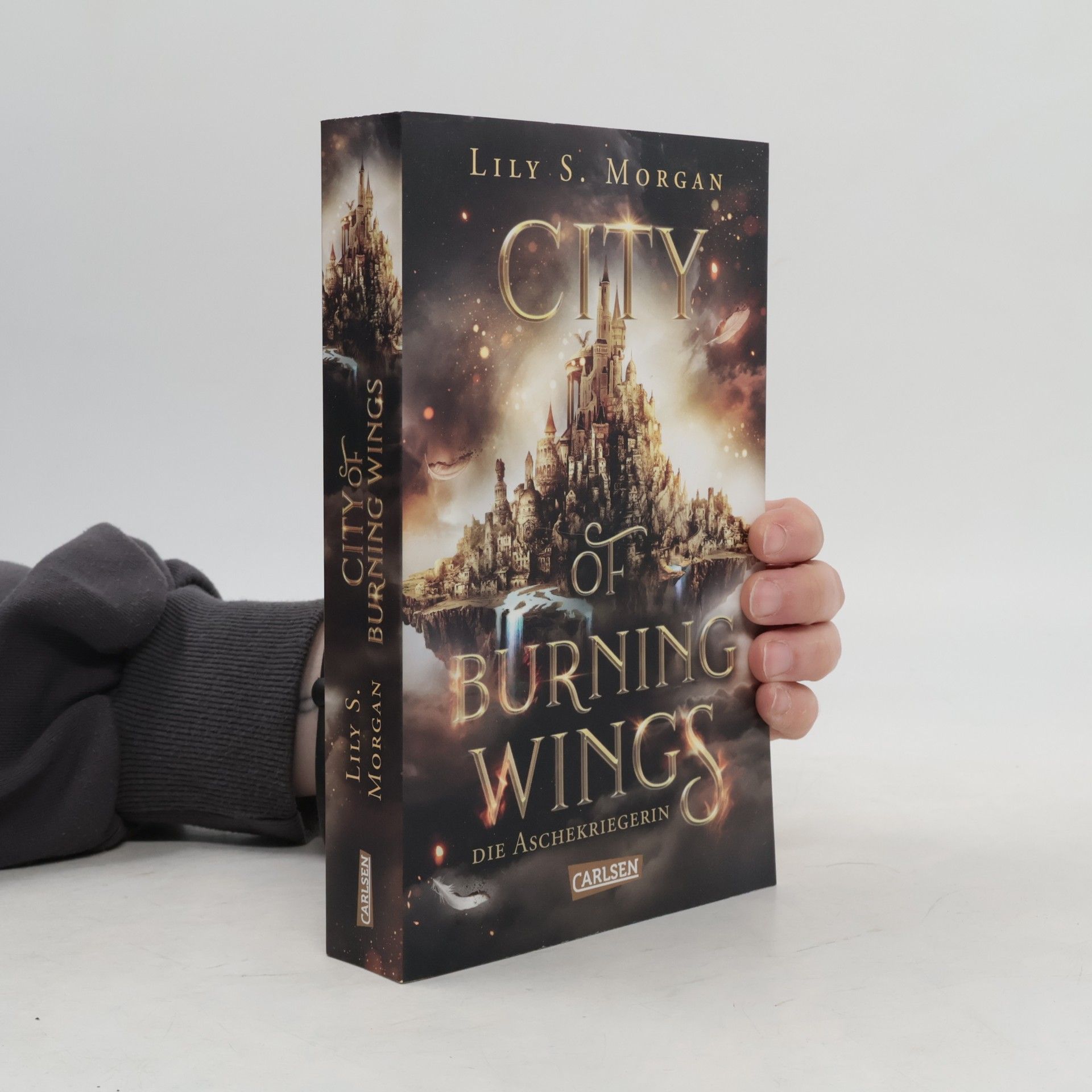 Lilly S. Morgan City of Burning Wings. Die Aschekriegerin