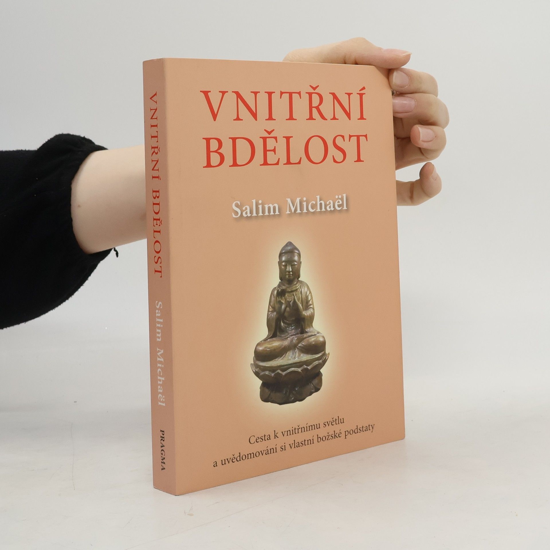 Salim Michaël Vnitřní bdělost : cesta k vnitřnímu světlu a uvědomování si vlastní podstaty