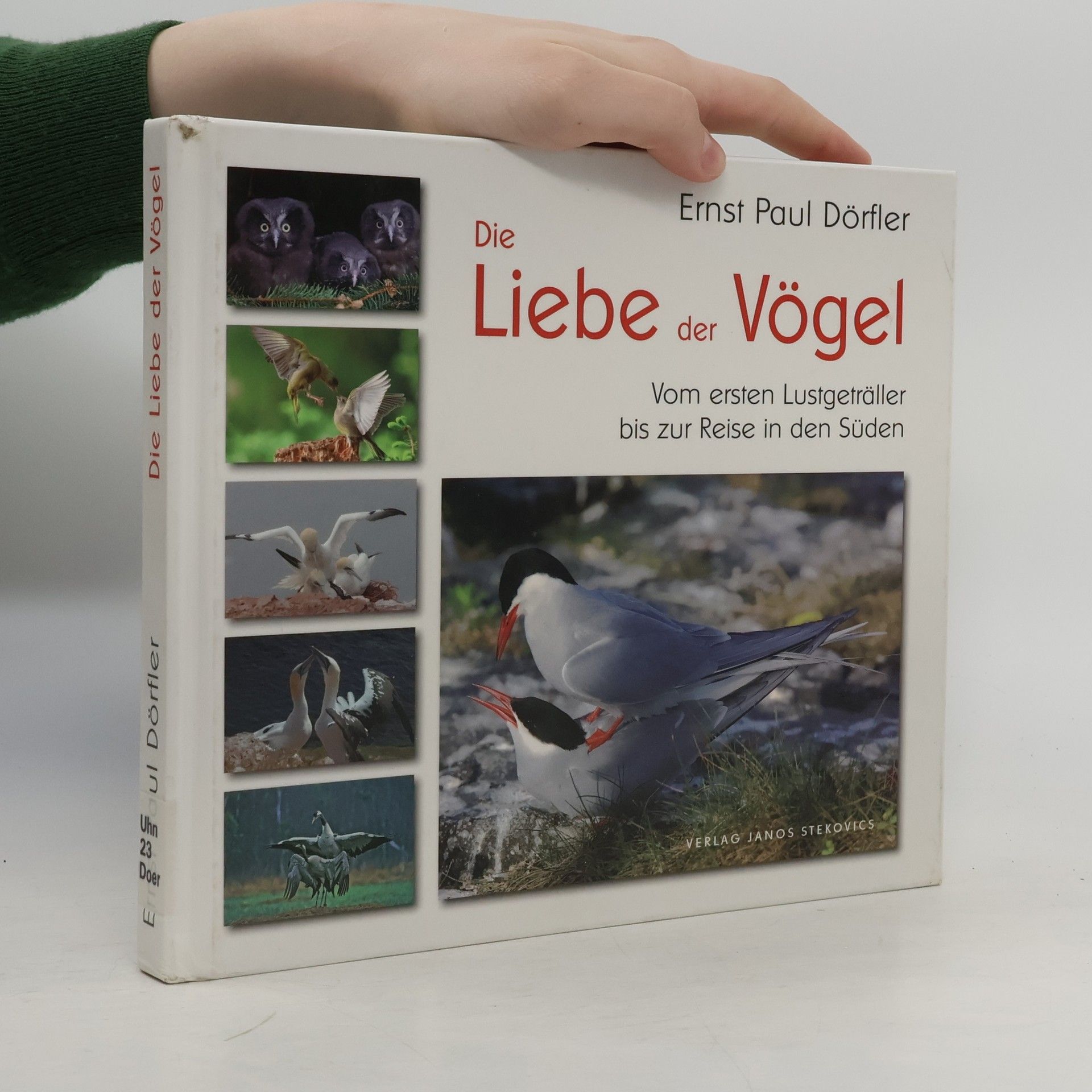 Ernst Paul Dörfler Die Liebe der Vögel