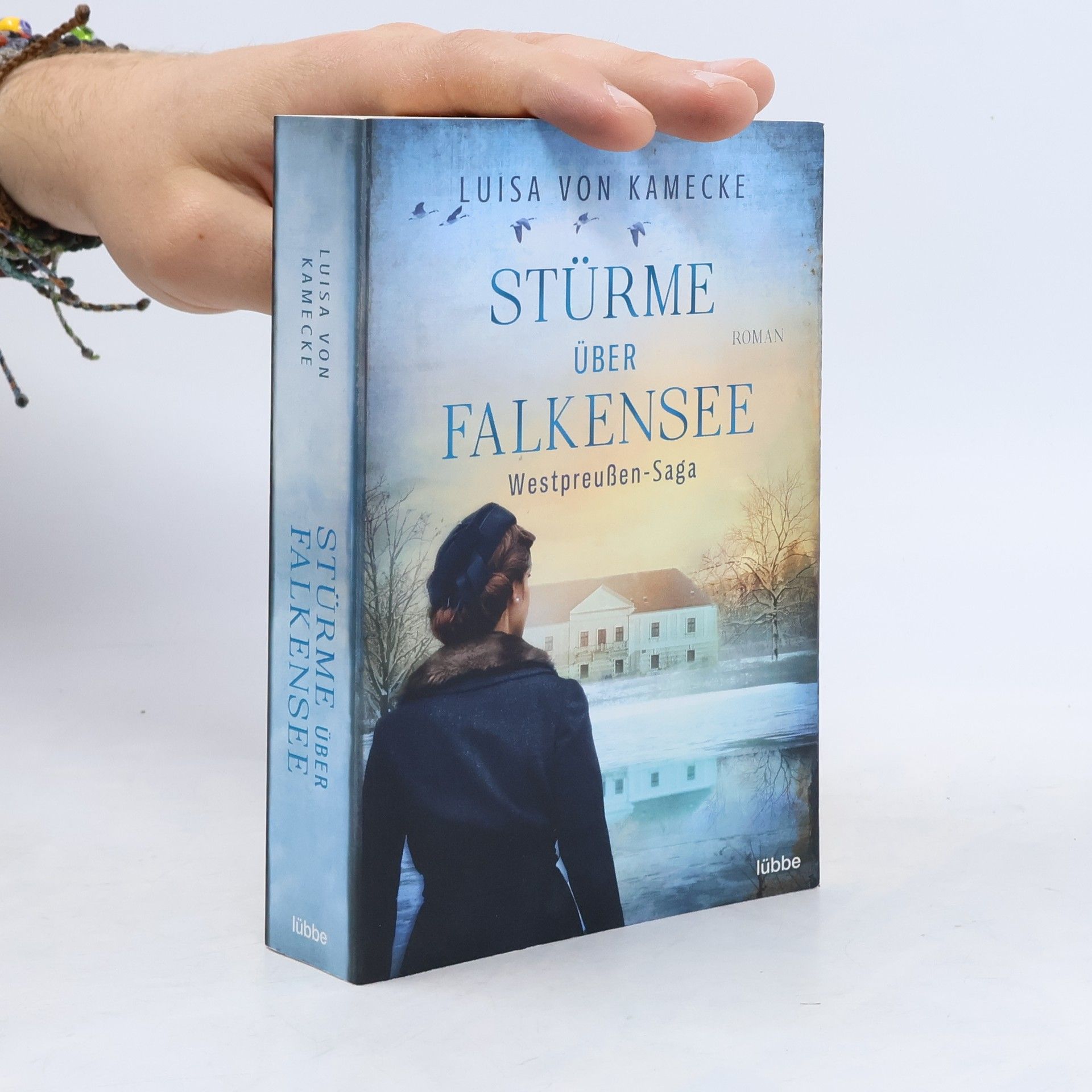 Luisa von Kamecke Stürme über Falkensee