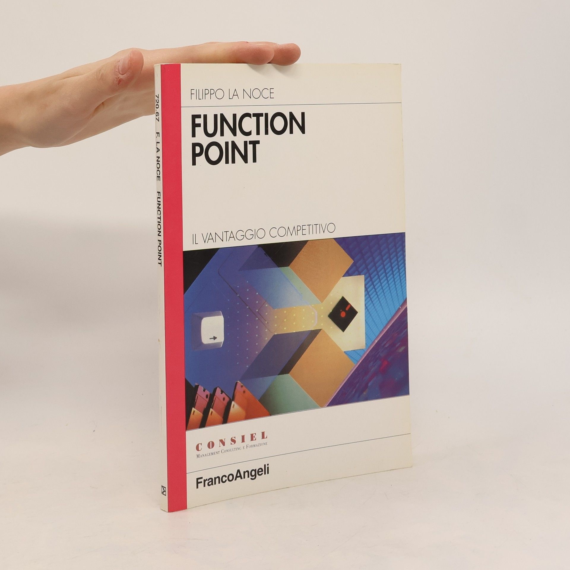 Filippo La Noce Function Point. il vantaggio competitivo