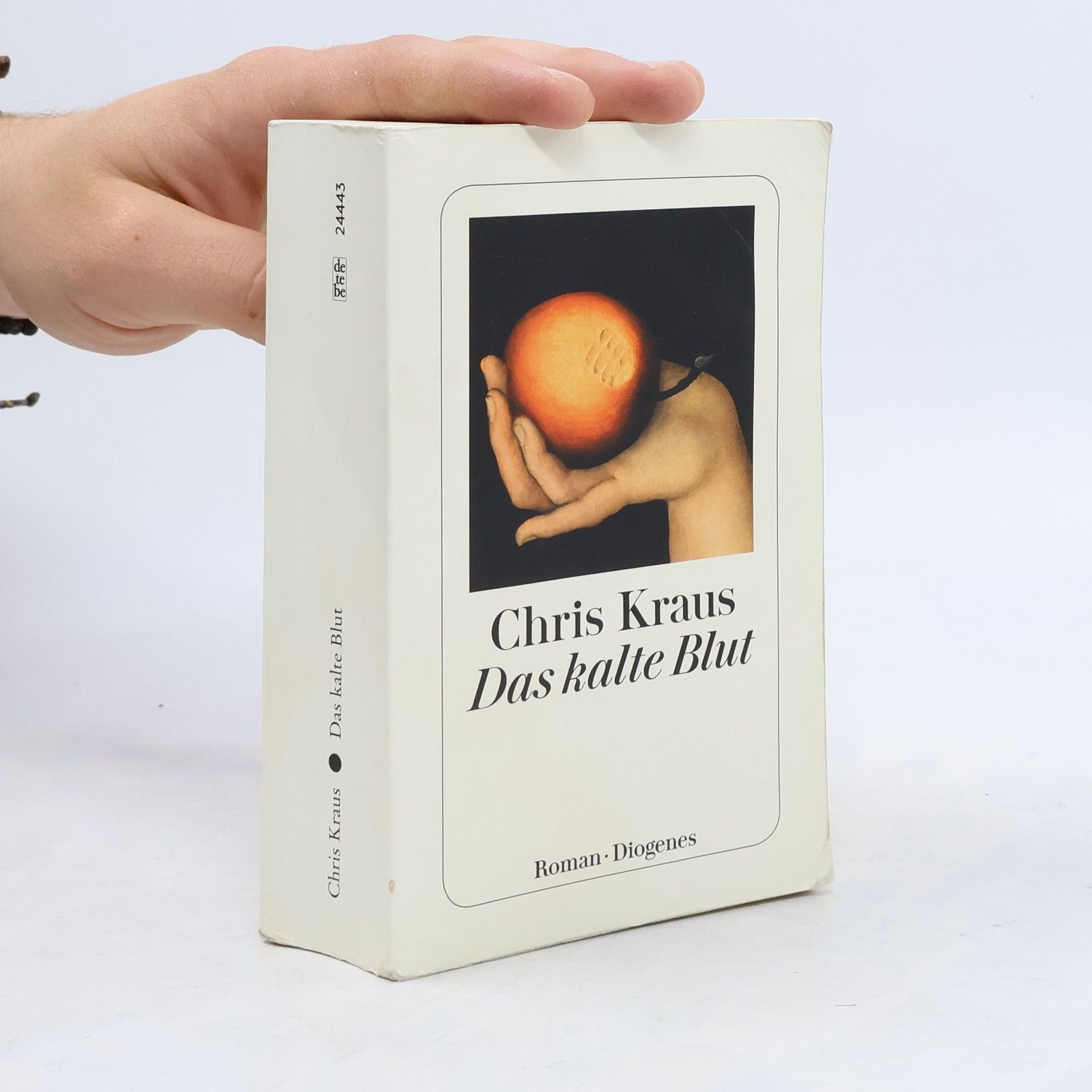 Chris Kraus Das kalte Blut