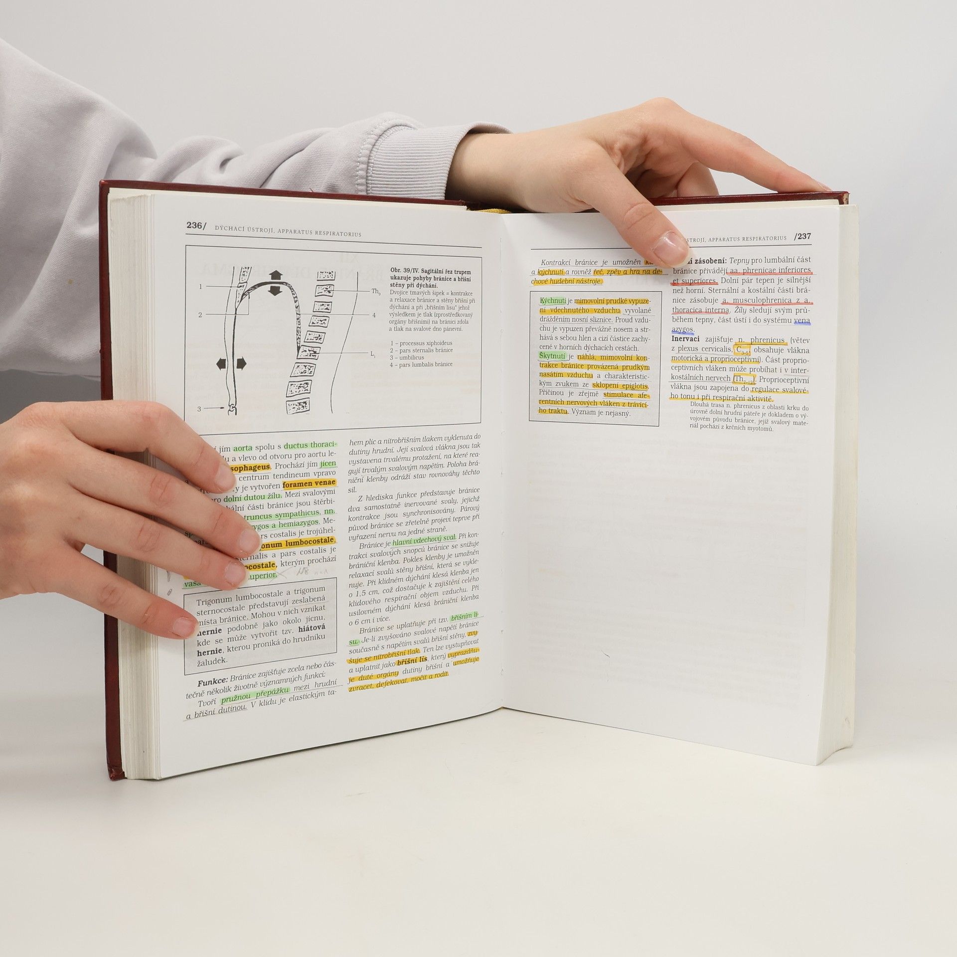 Pavel Petrovický Anatomie s topografií a klinickými aplikacemi. II. svazek. Orgány a cévy