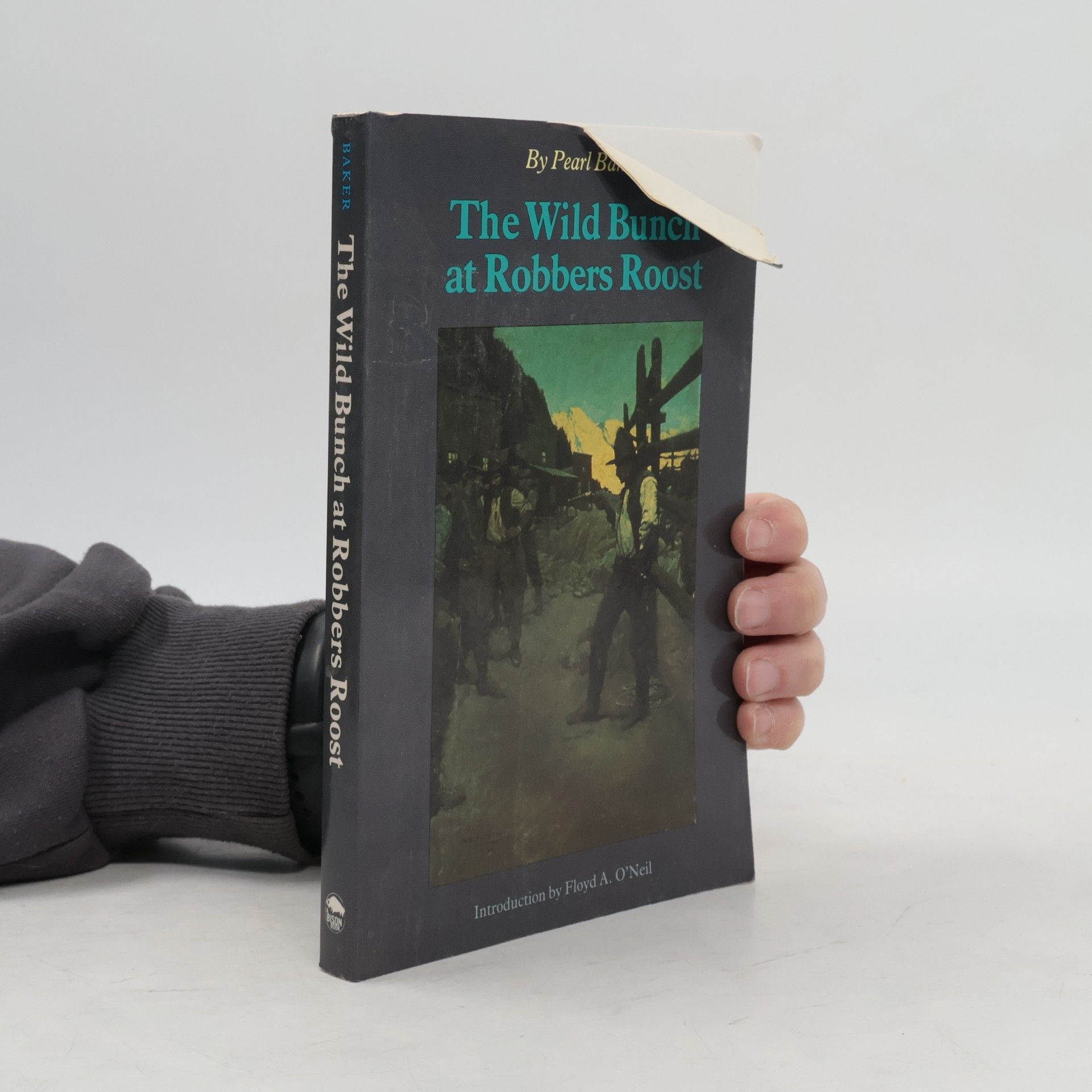 Floyd A. O'Neil The Wild Bunch at Robbers Roost