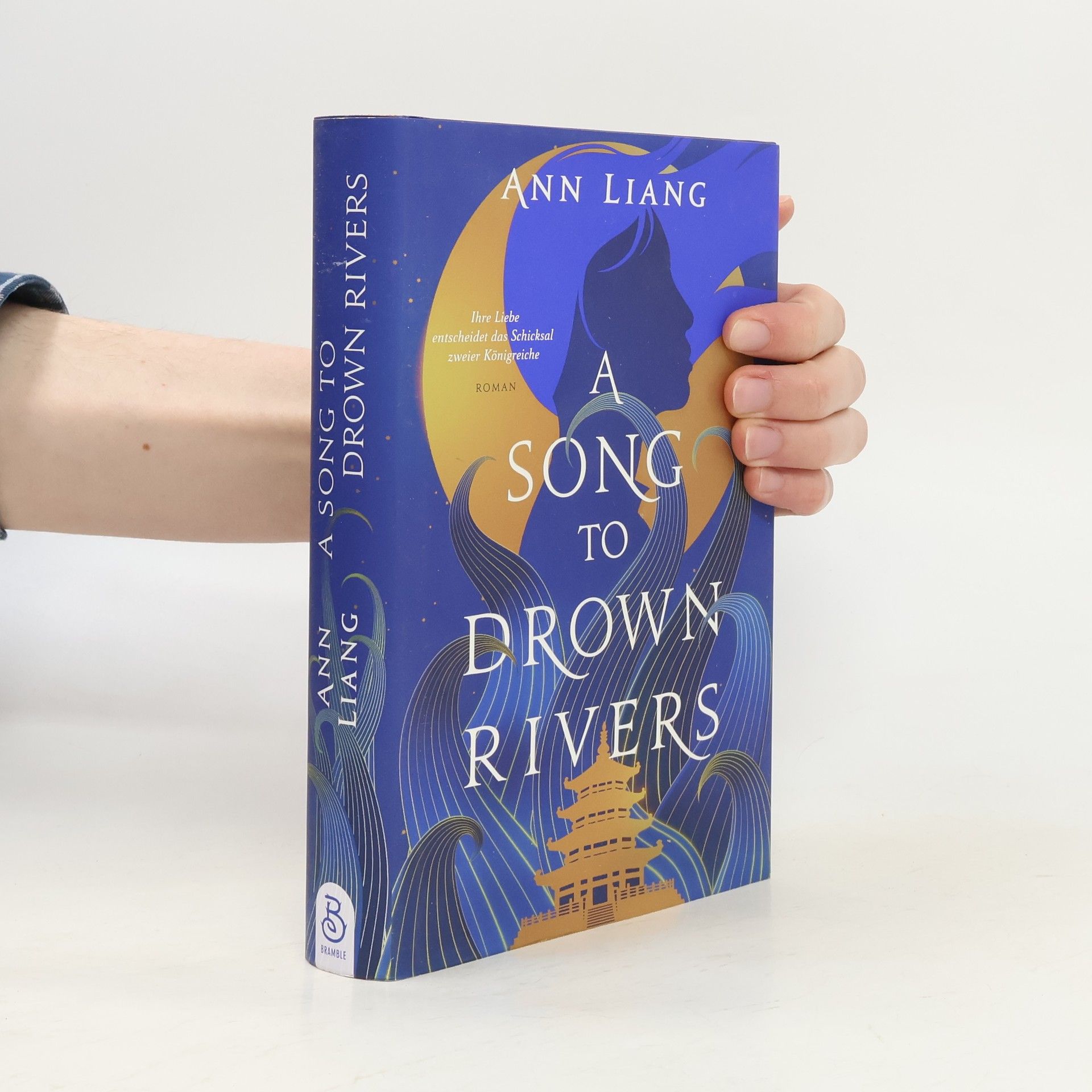 A Song to Drown Rivers