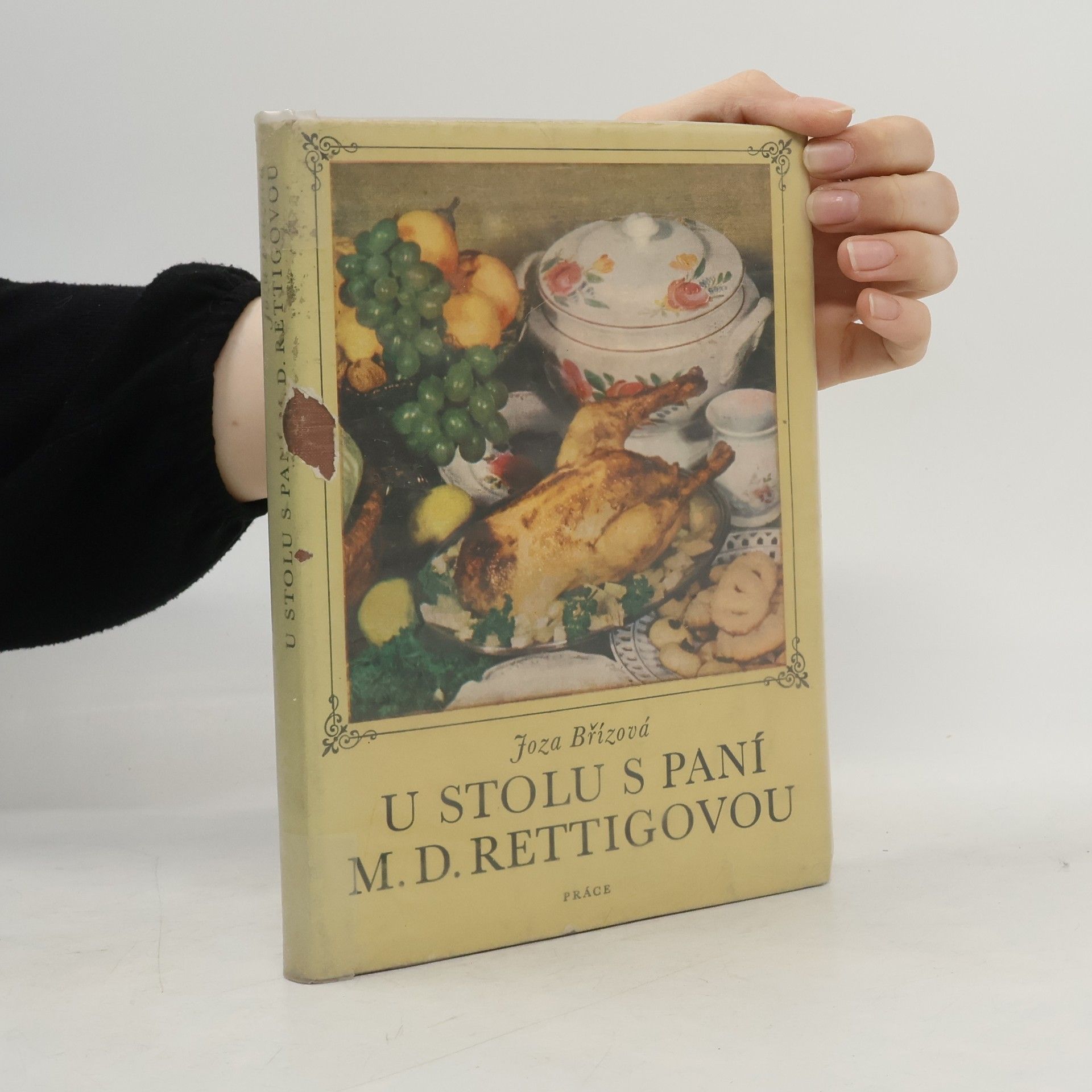 Joza Břízová U stolu s paní M. D. Rettigovou
