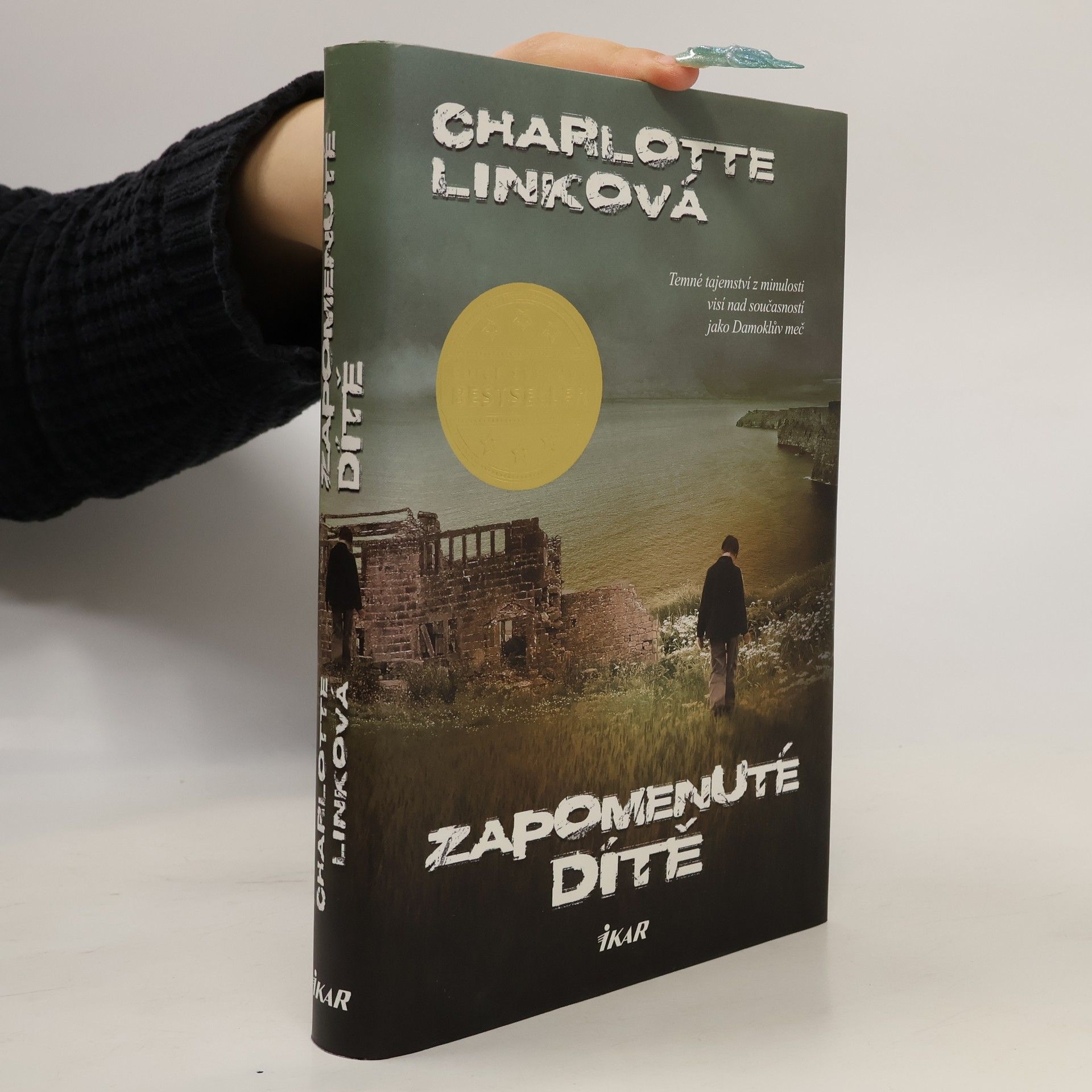 Charlotte Link Zapomenuté dítě