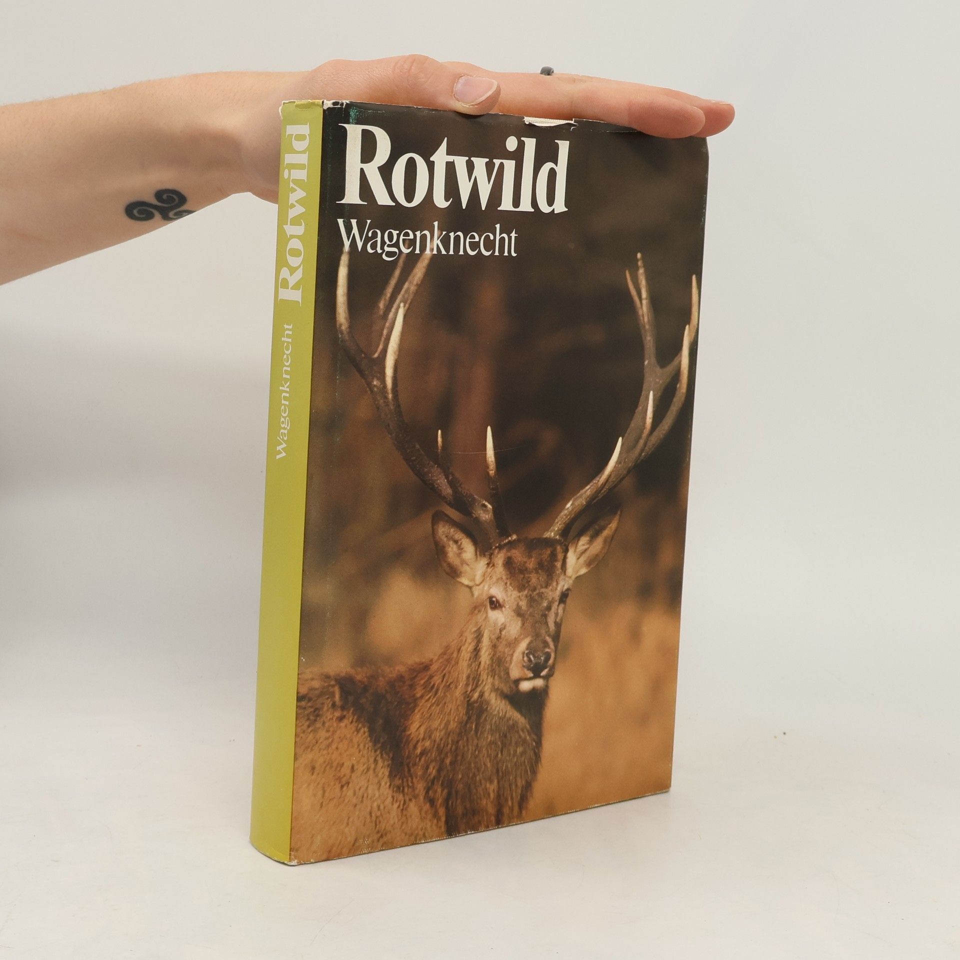 Rotwild  