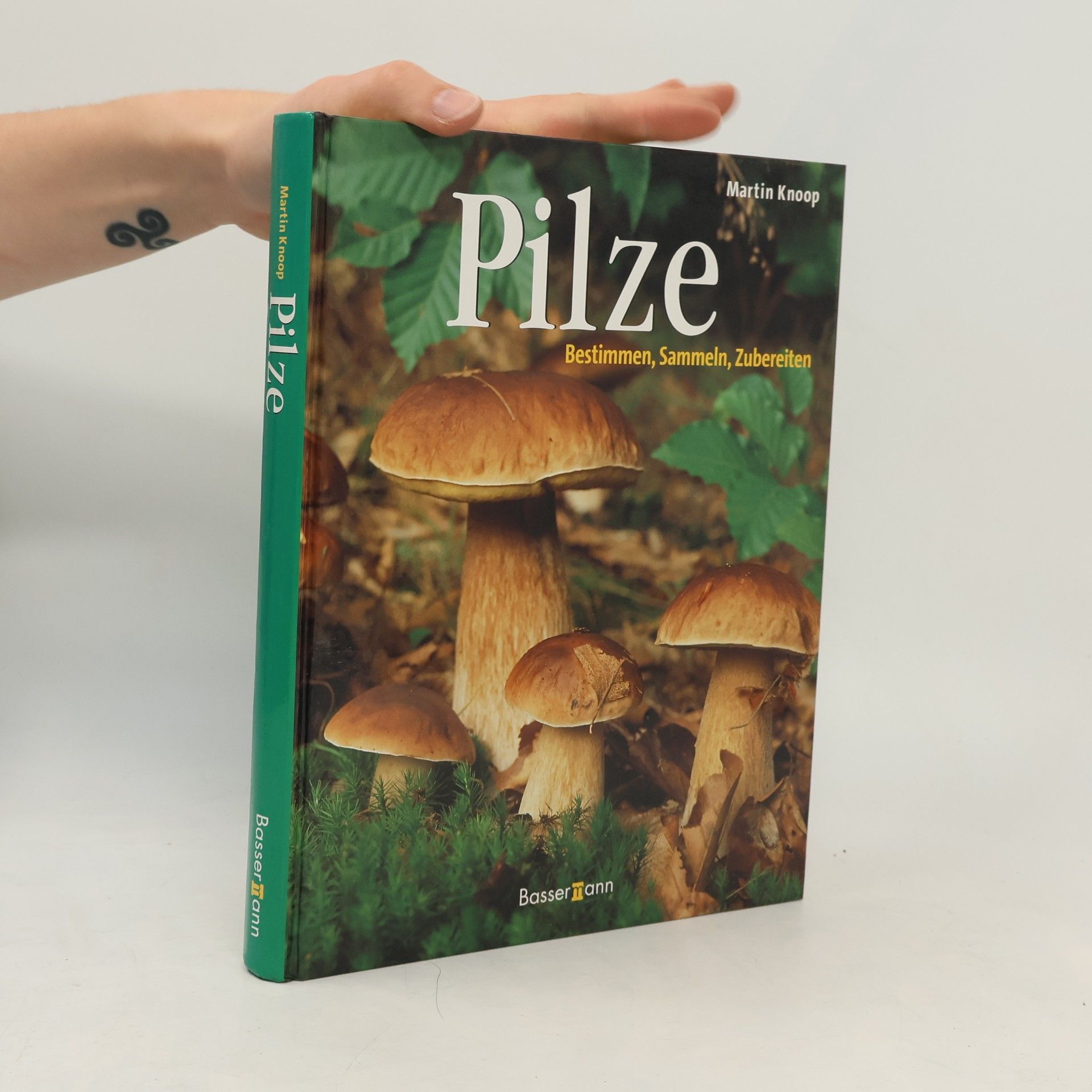 Martin Knoop Pilze