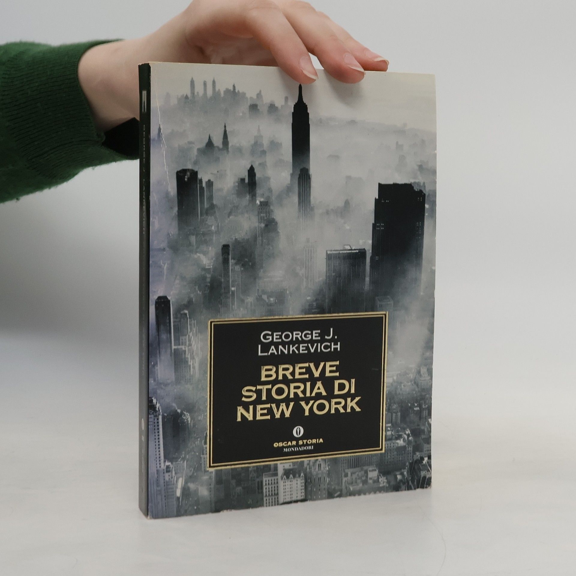 George J. Lankevich Breve storia di New York